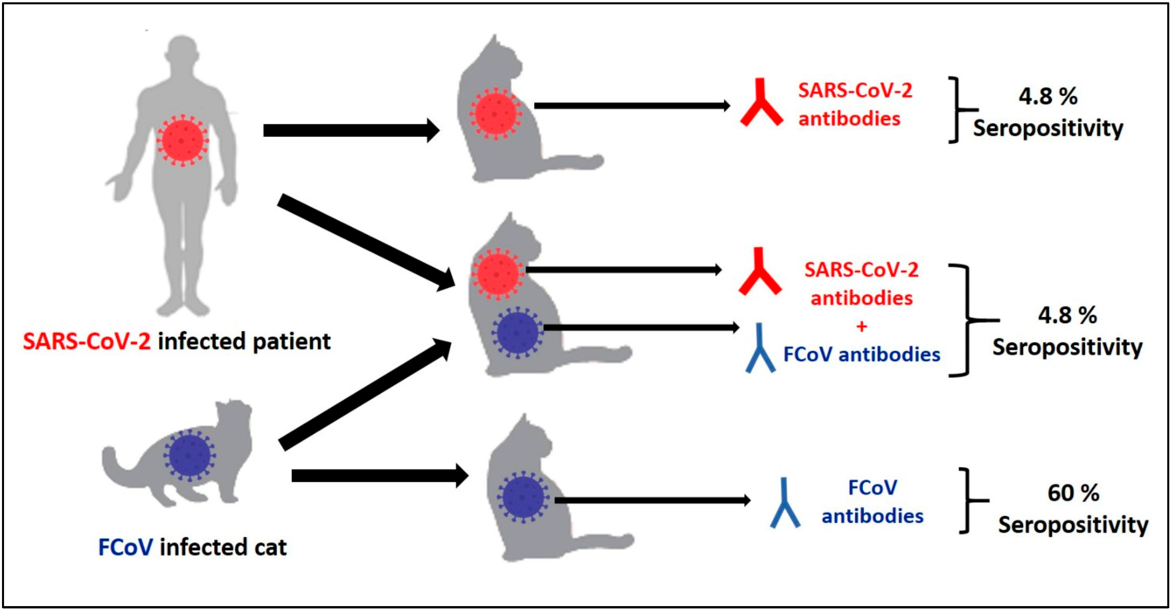 Animals 13 00493 g003