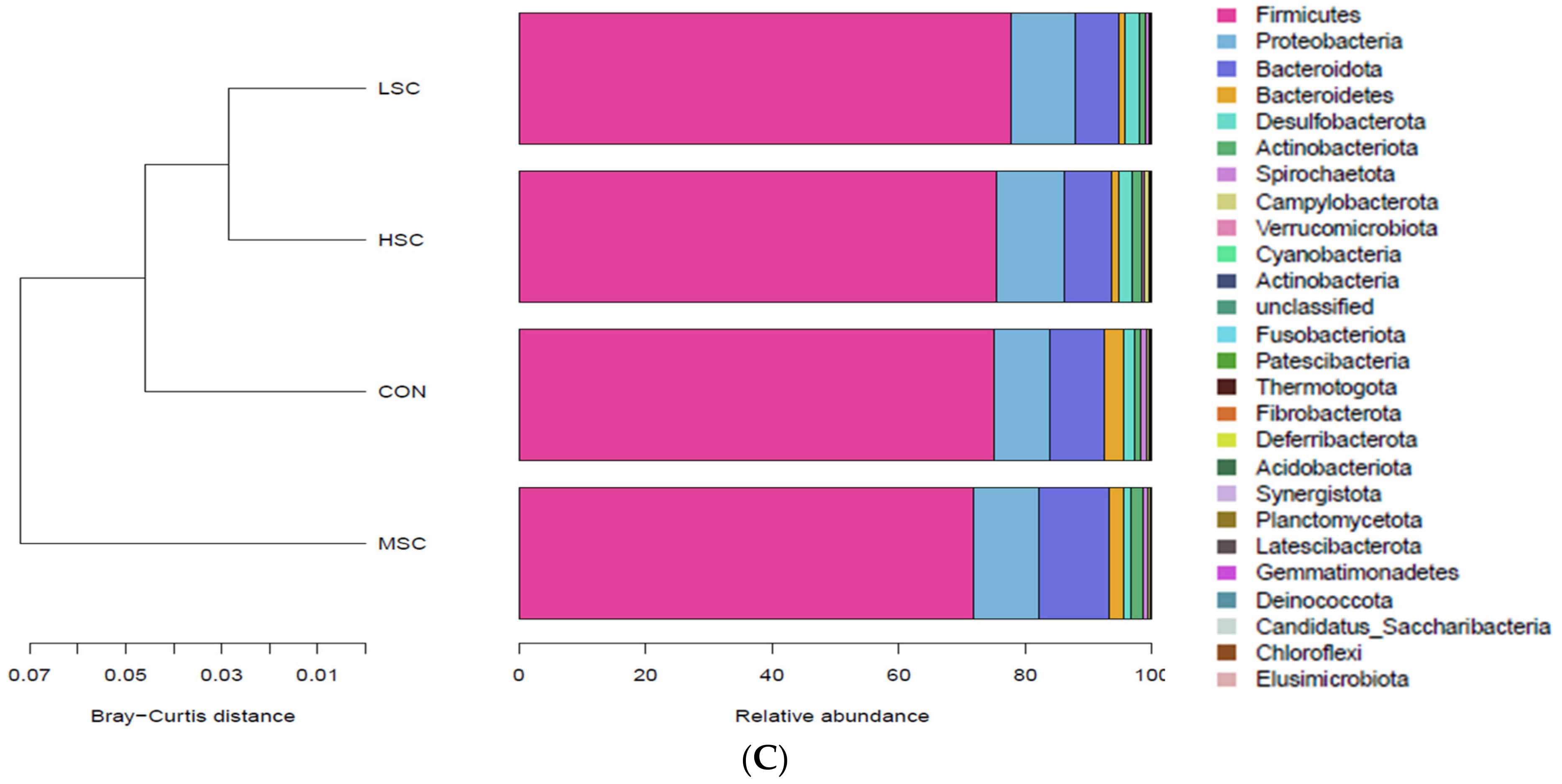 Animals 13 00498 g001b