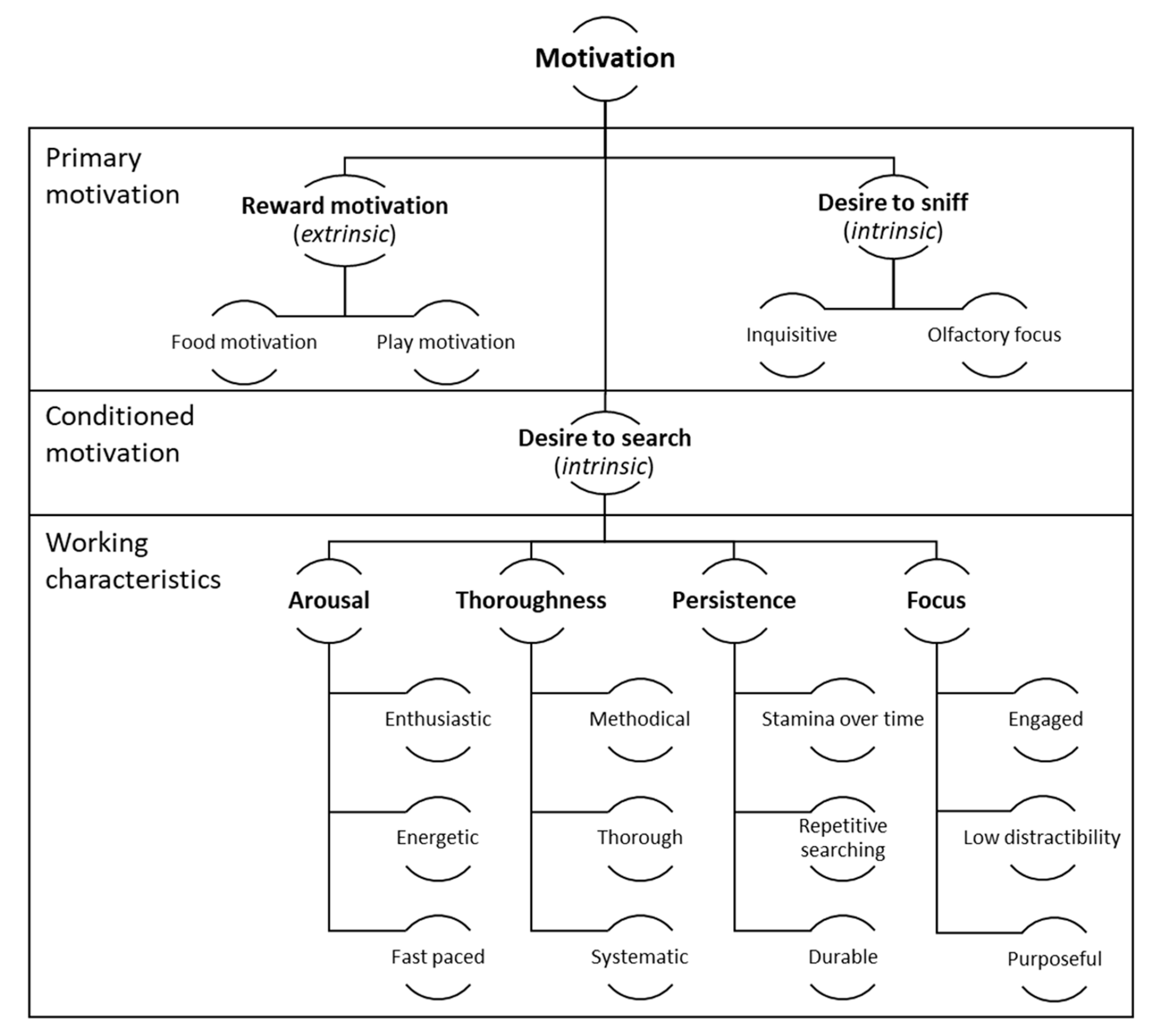Animals 13 00504 g001 Animals 13 00504 g001