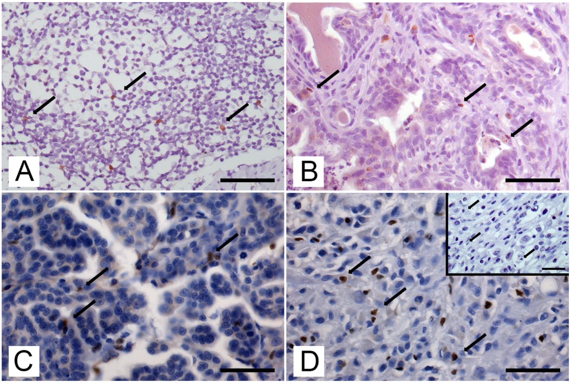 Animals 13 00505 g001