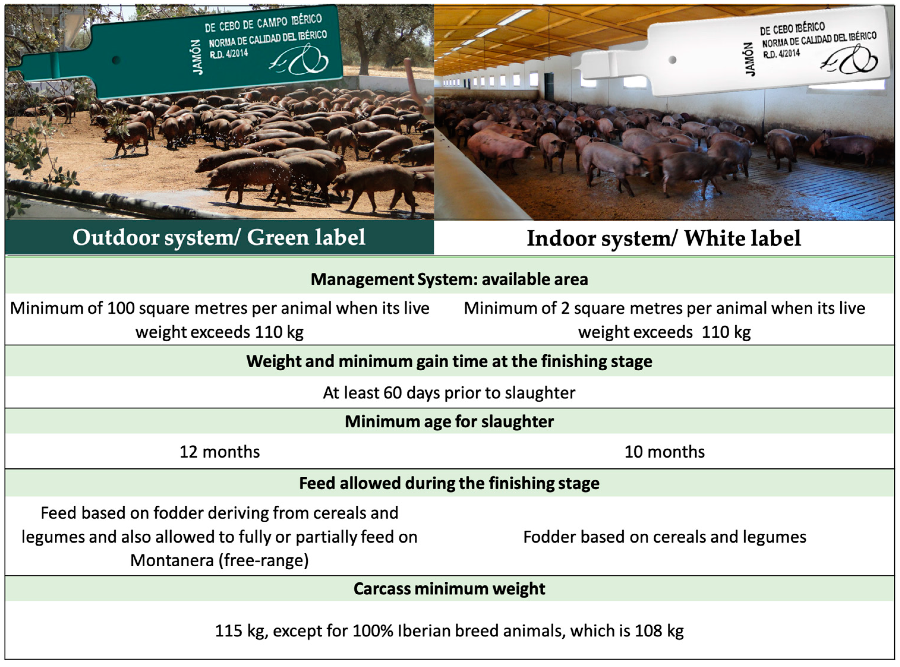 Animals 13 00506 g001 Animals 13 00506 g001