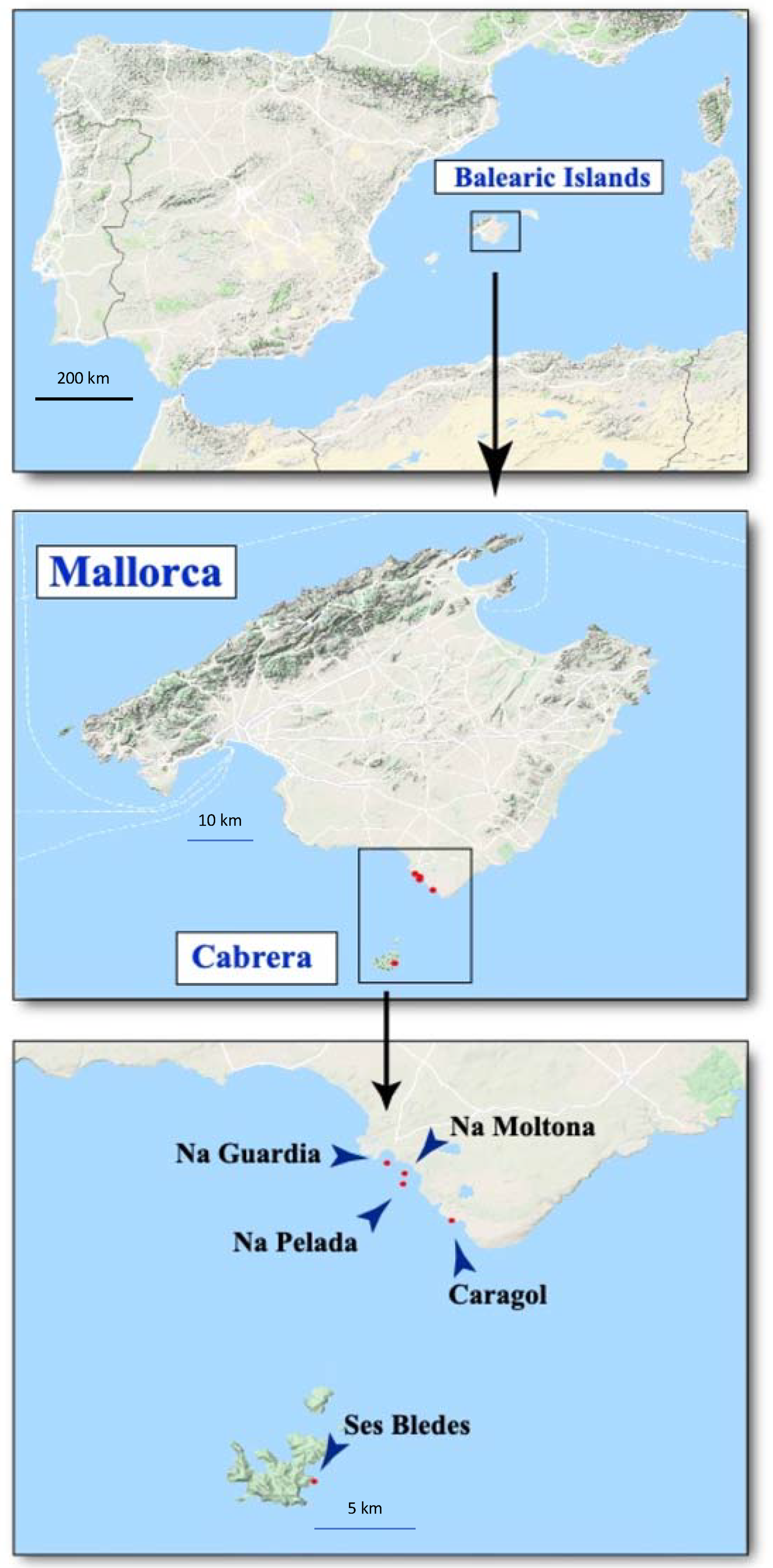 Animals 13 00507 g001