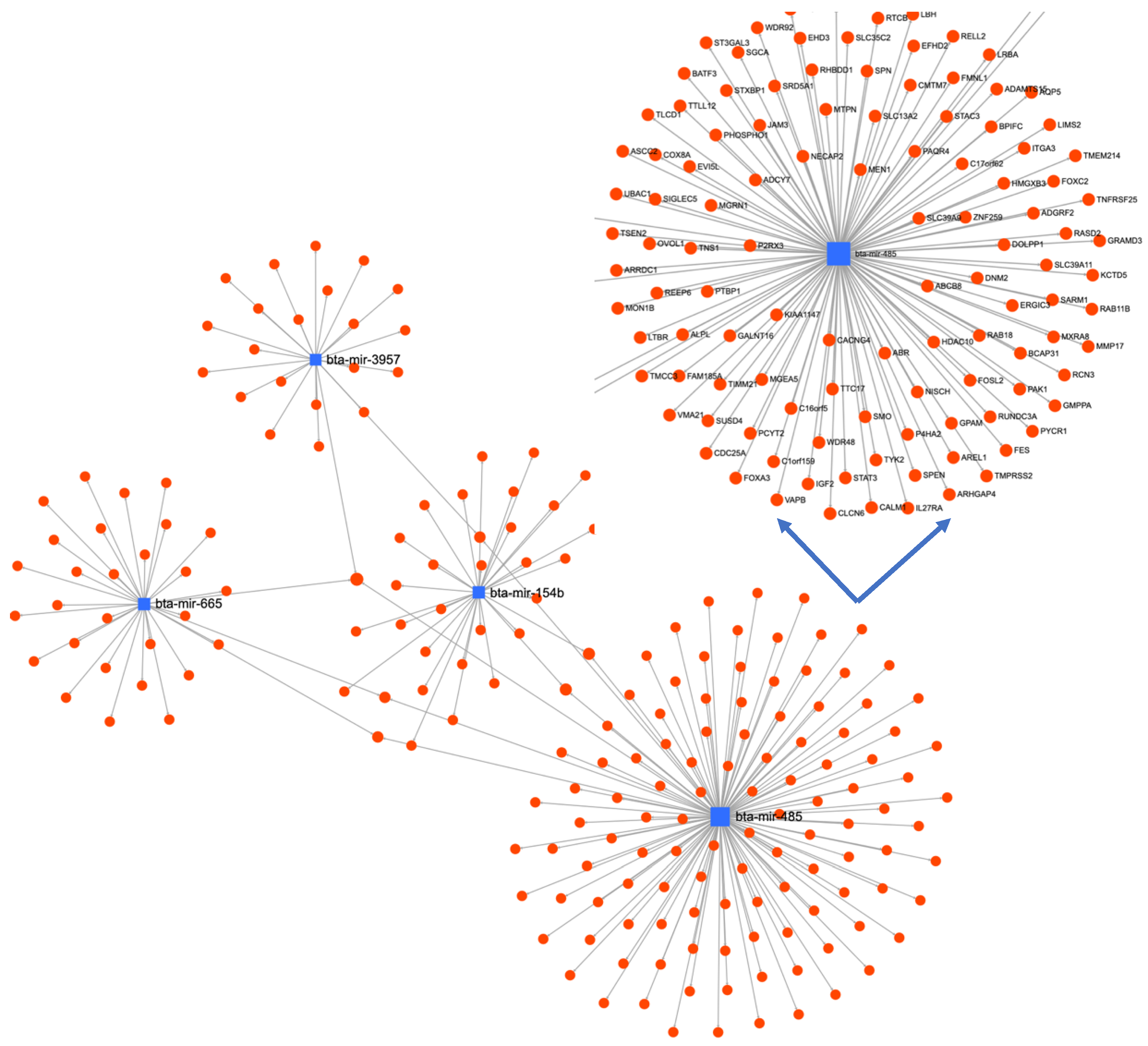 Animals 13 00508 g005