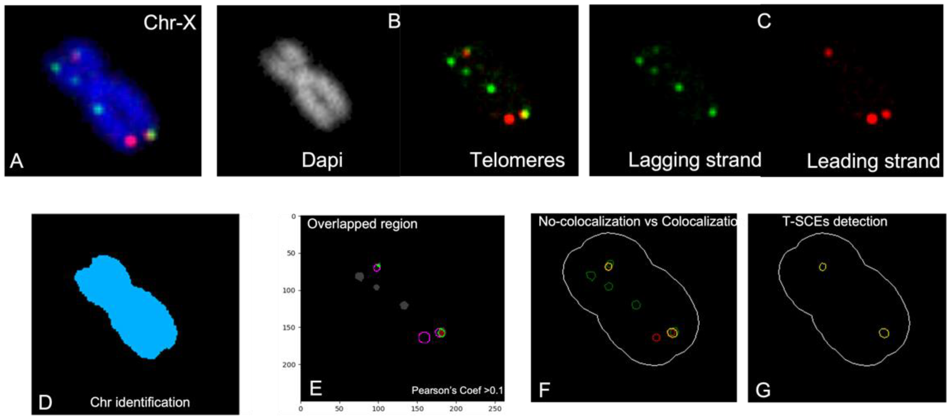 Animals 13 00510 g001