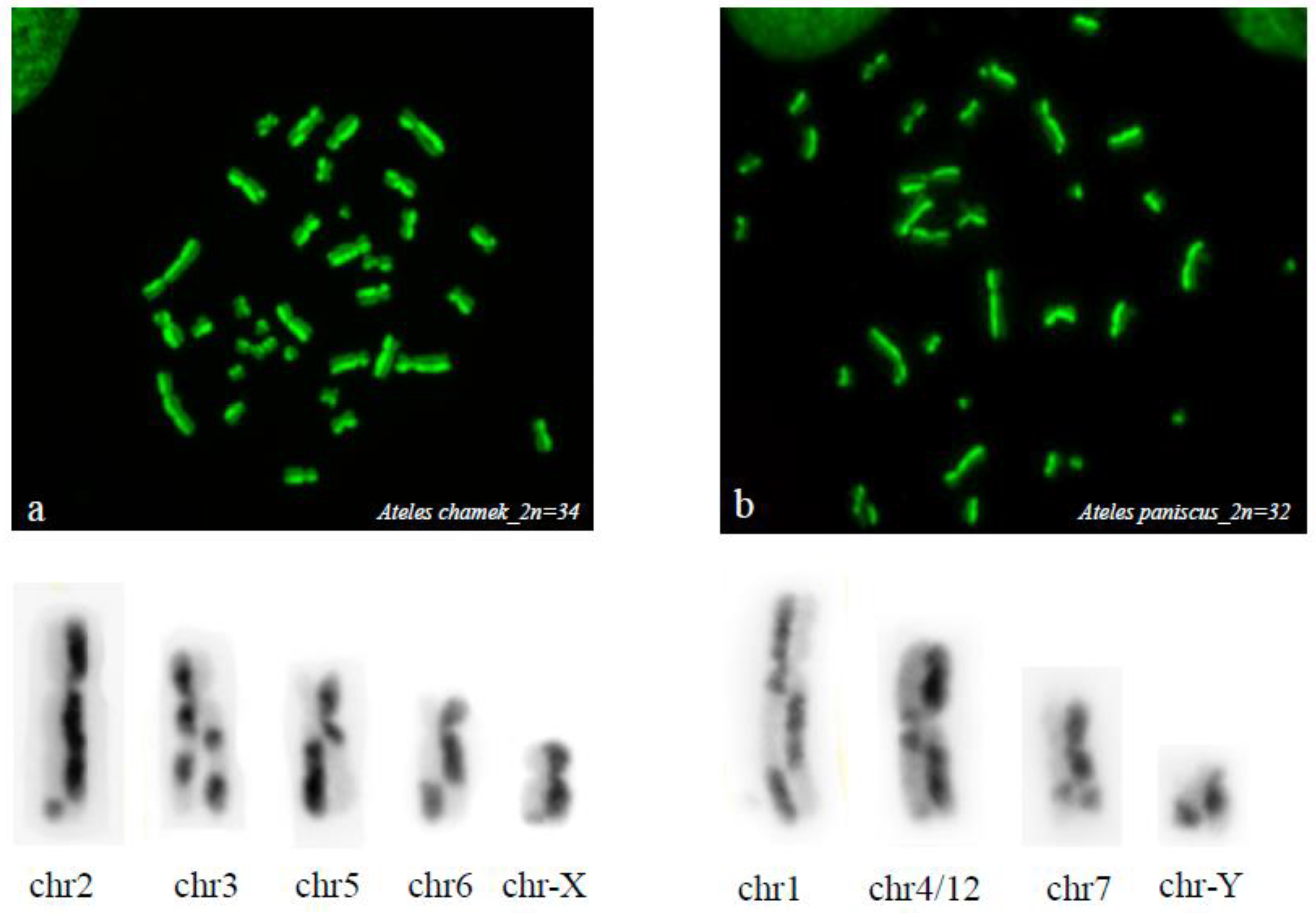 Animals 13 00510 g003
