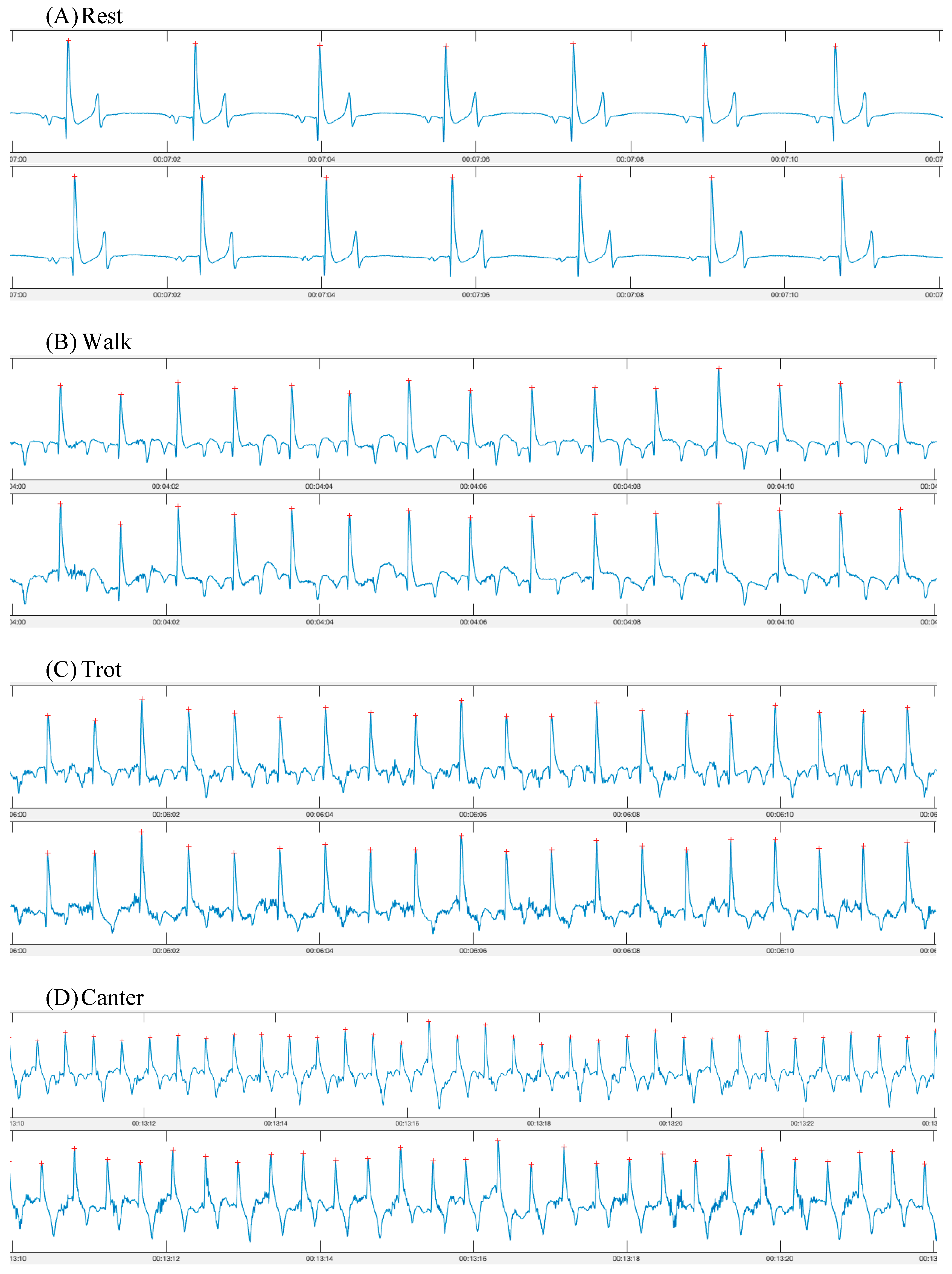 Animals 13 00512 g002