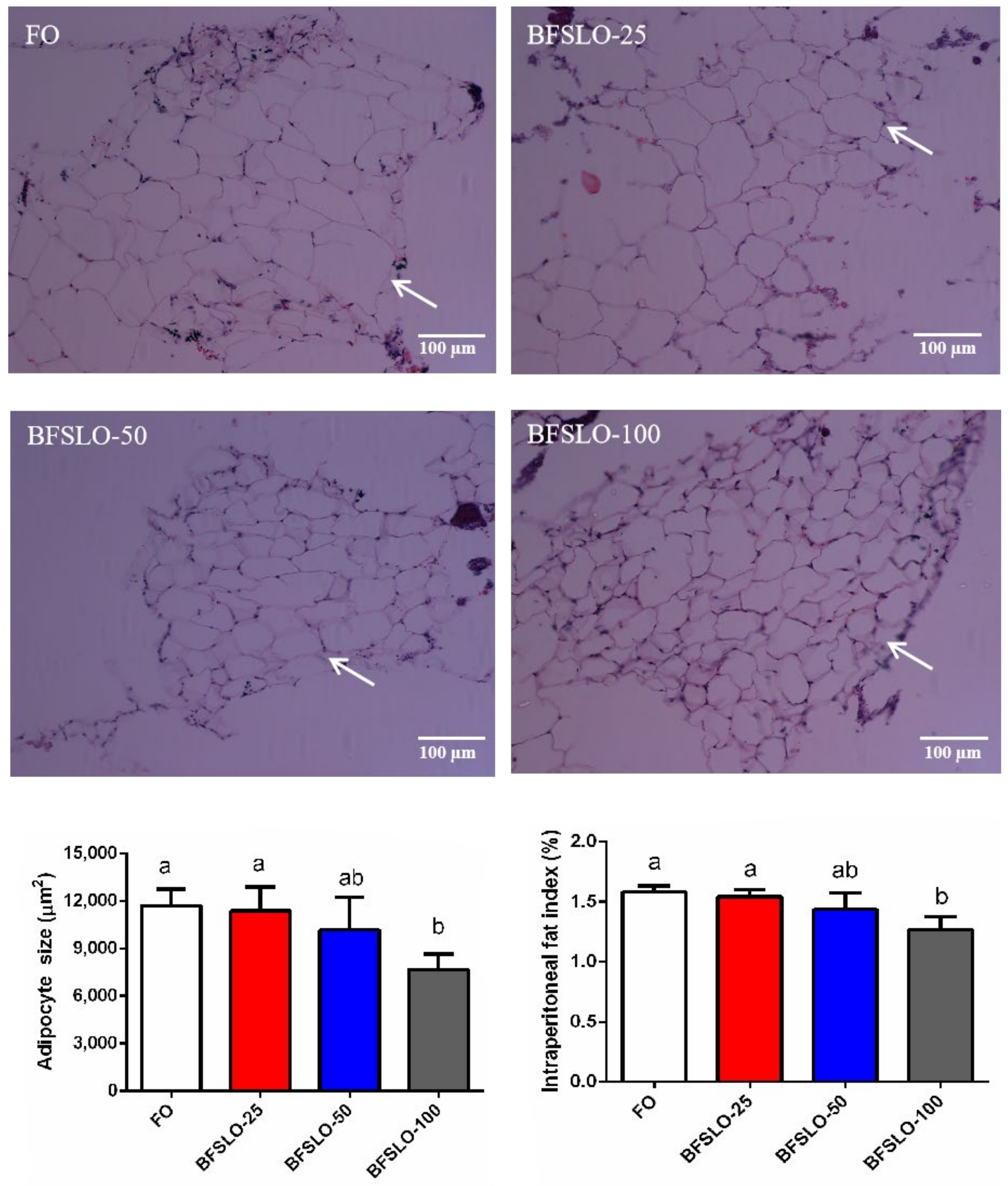 Animals 13 00518 g001