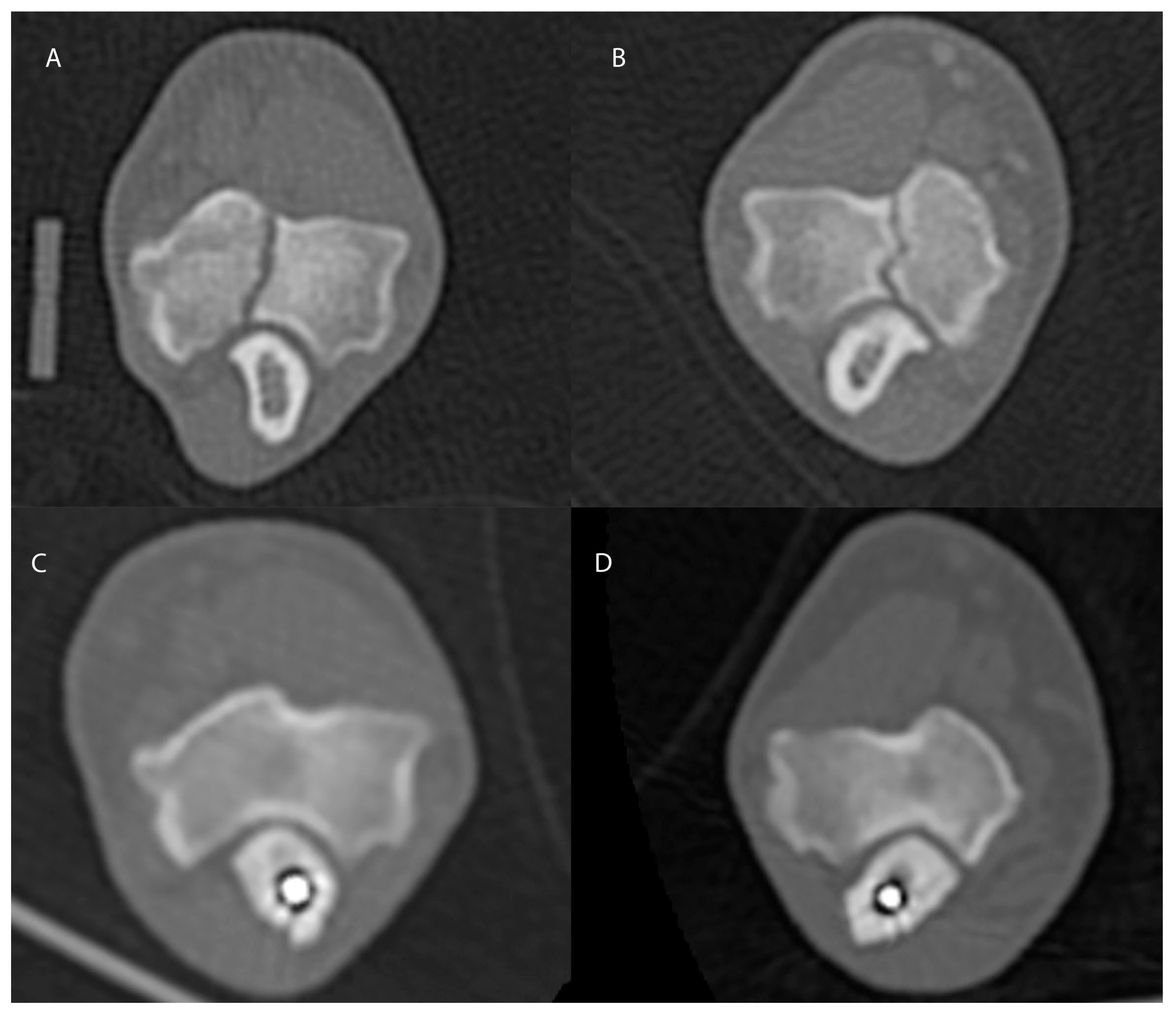 Animals 13 00519 g003