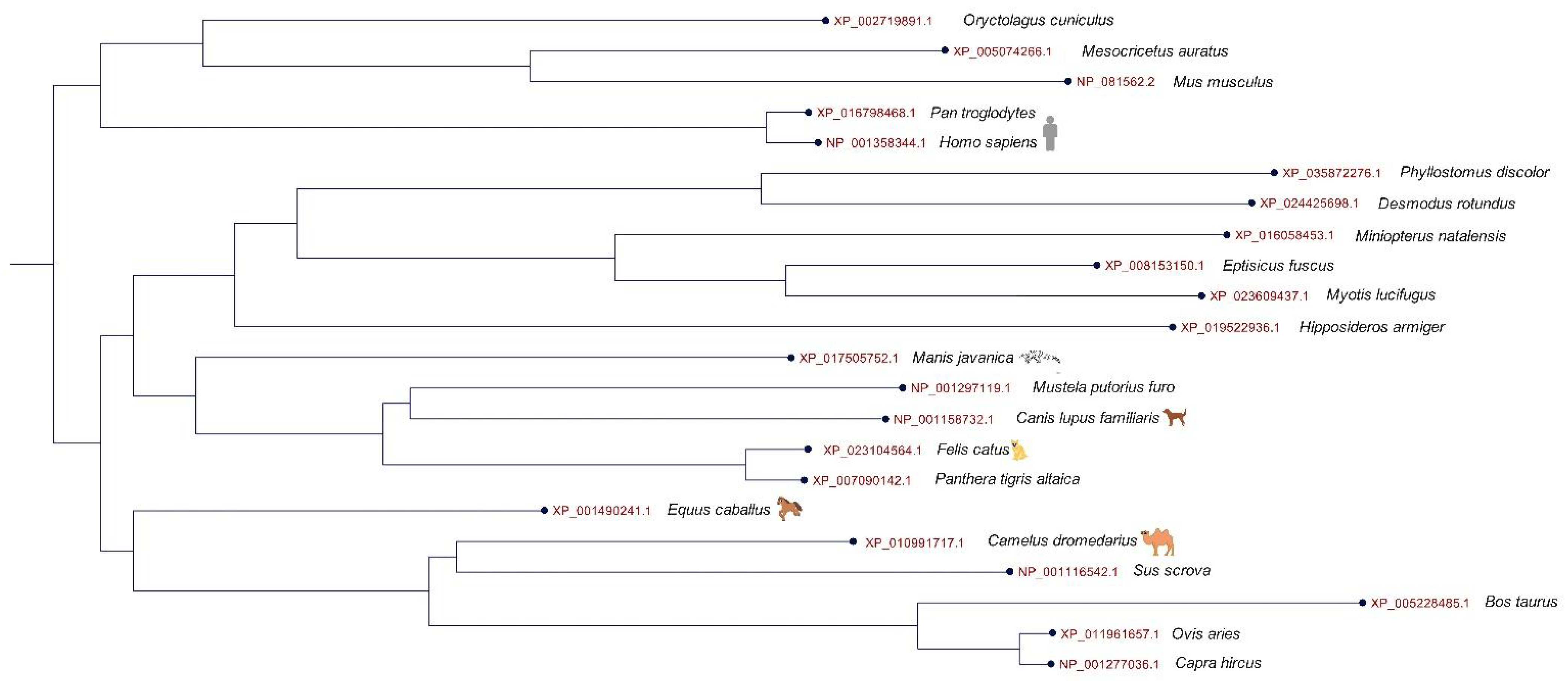 Animals 13 00524 g001