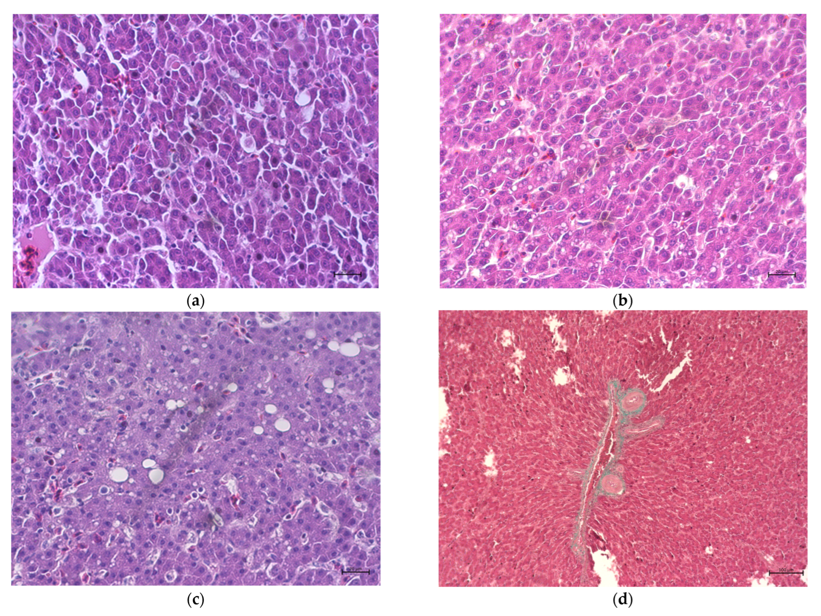 Animals 13 00527 g001