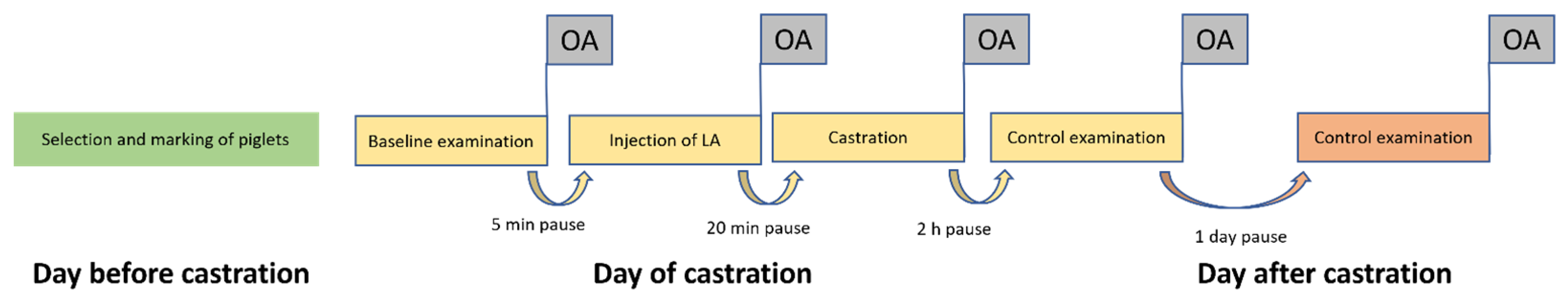 Animals 13 00529 g002