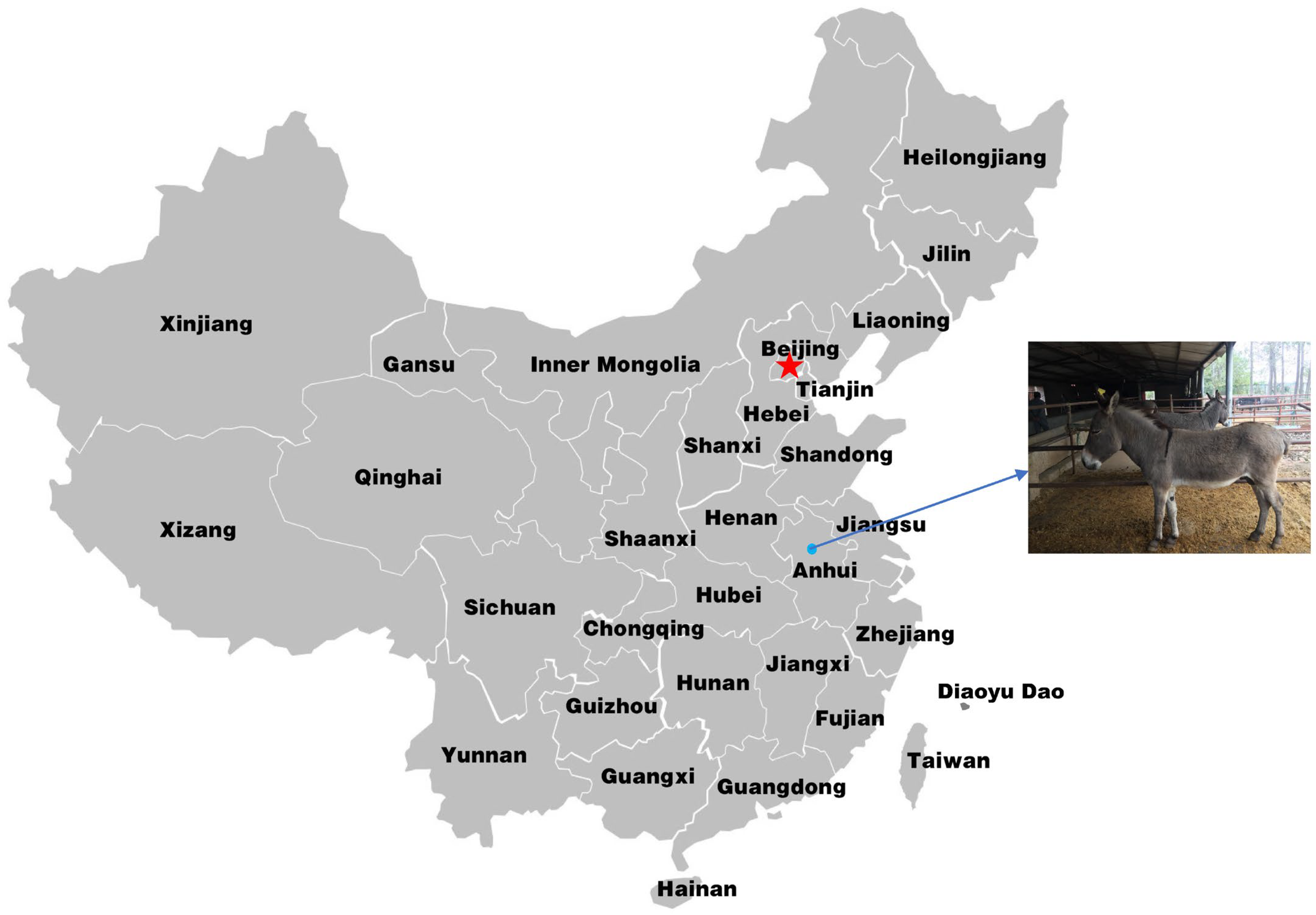 Animals 13 00531 g001 Animals 13 00531 g001