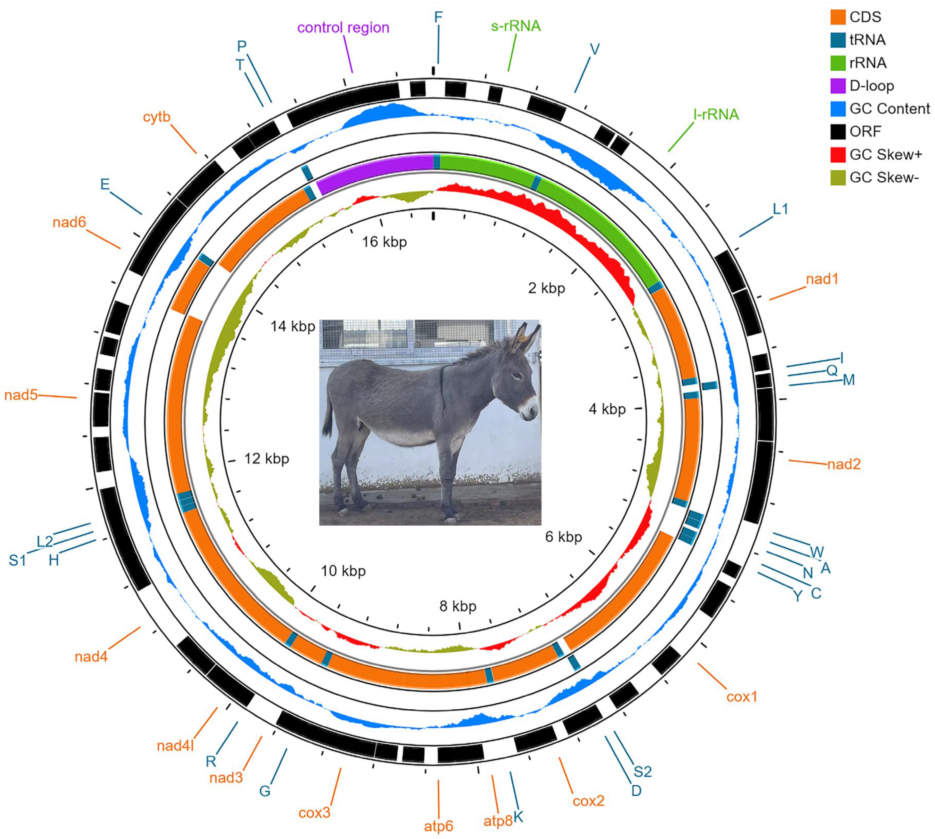 Animals 13 00531 g002 Animals 13 00531 g002