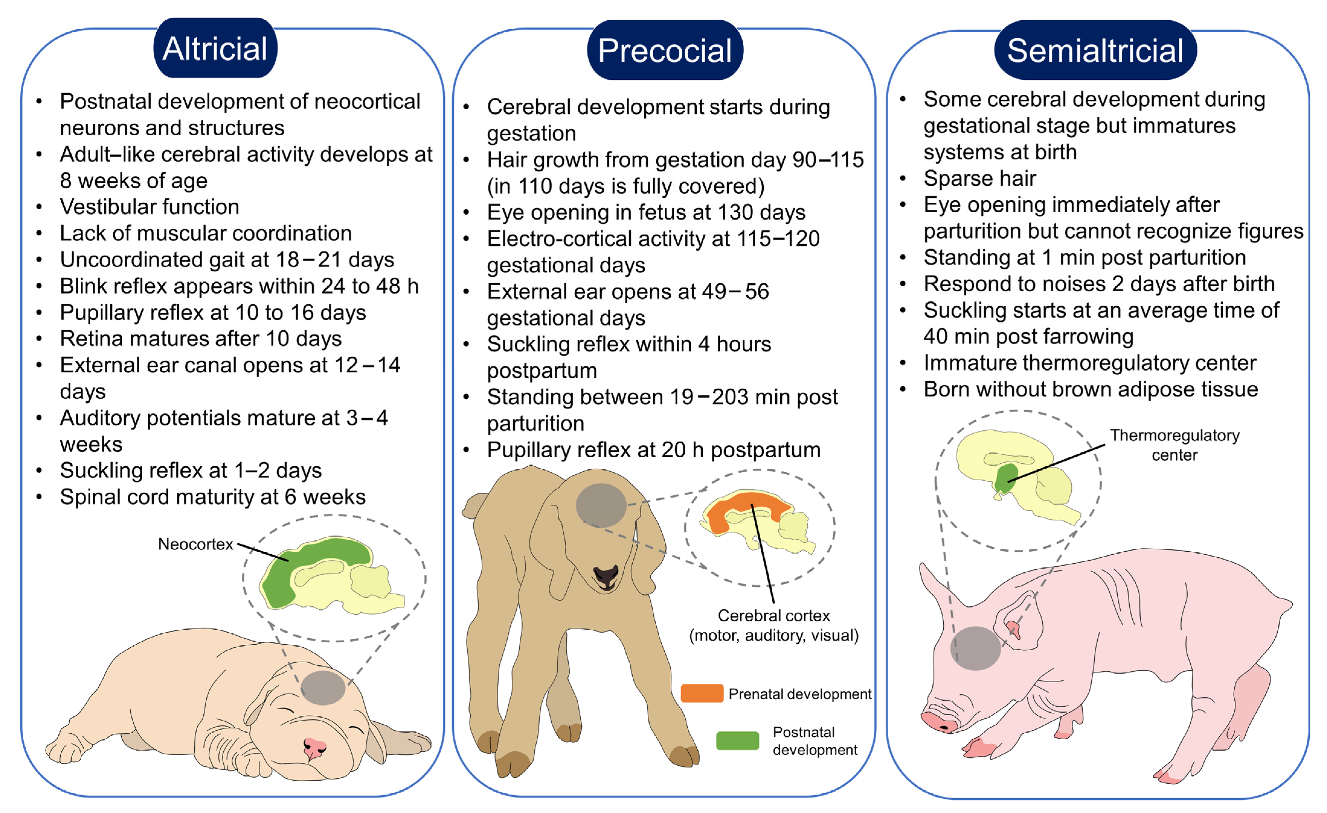 Animals 13 00532 g001