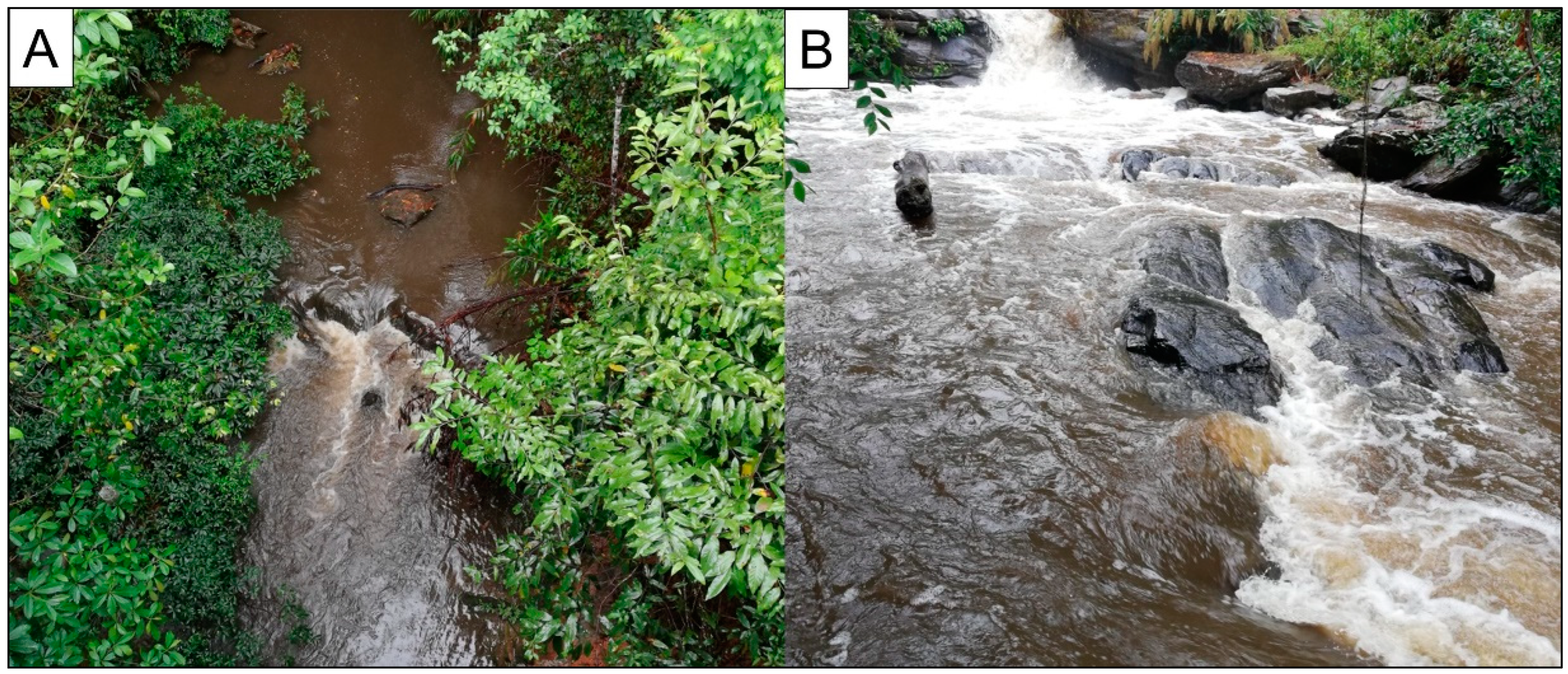 Animals 13 00538 g002