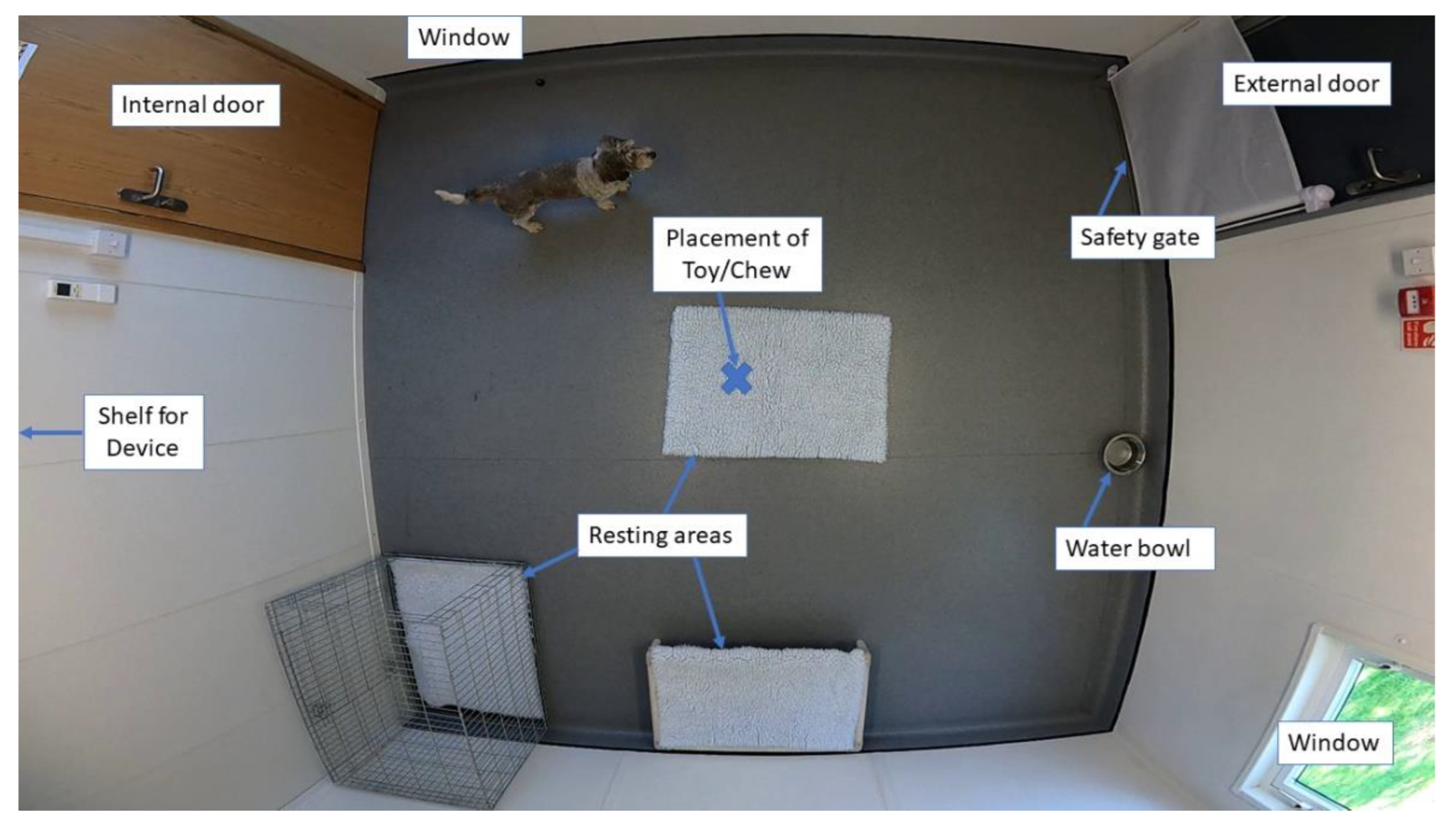 Animals 13 00552 g001