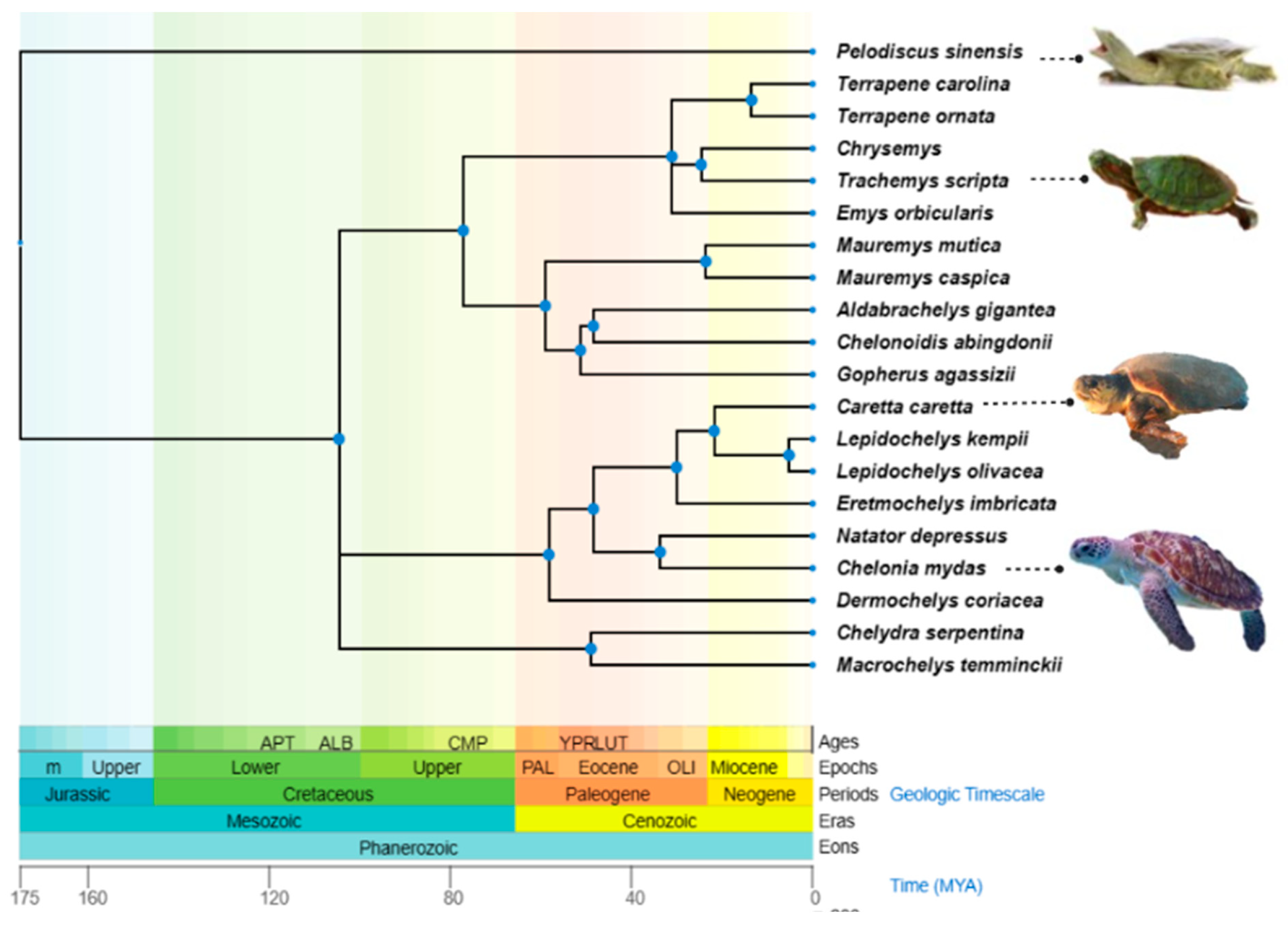Animals 13 00556 g001