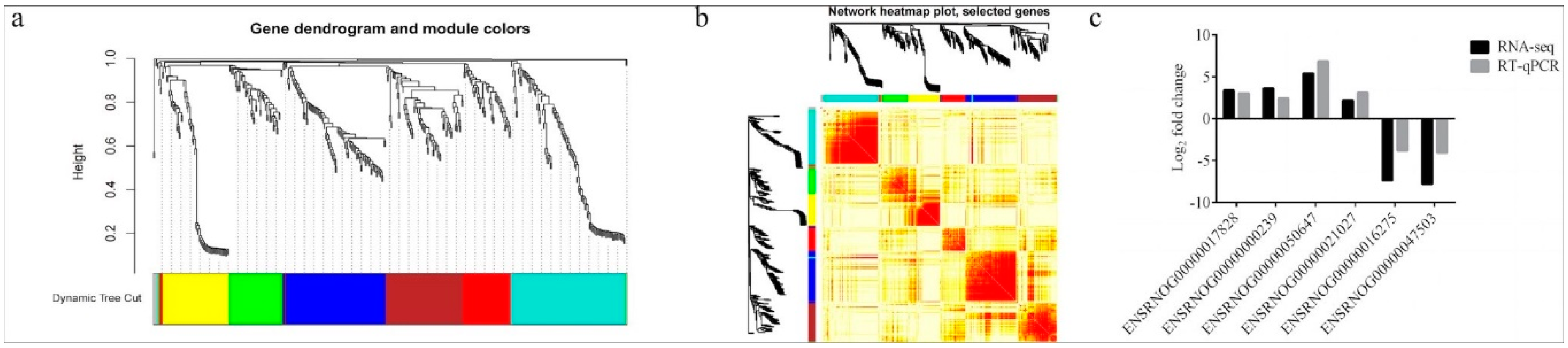 Animals 13 00558 g003
