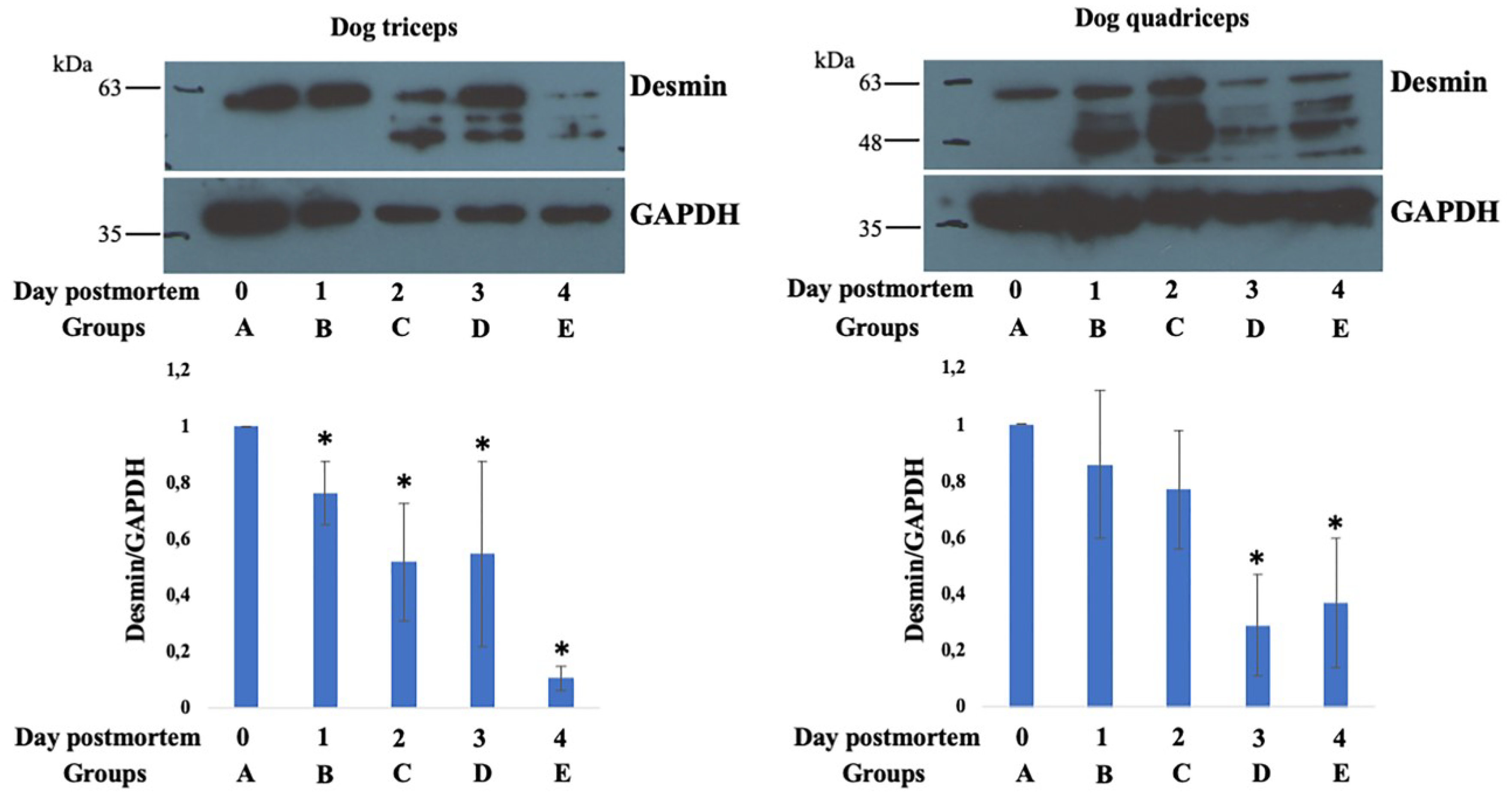 Animals 13 00563 g005 Animals 13 00563 g005