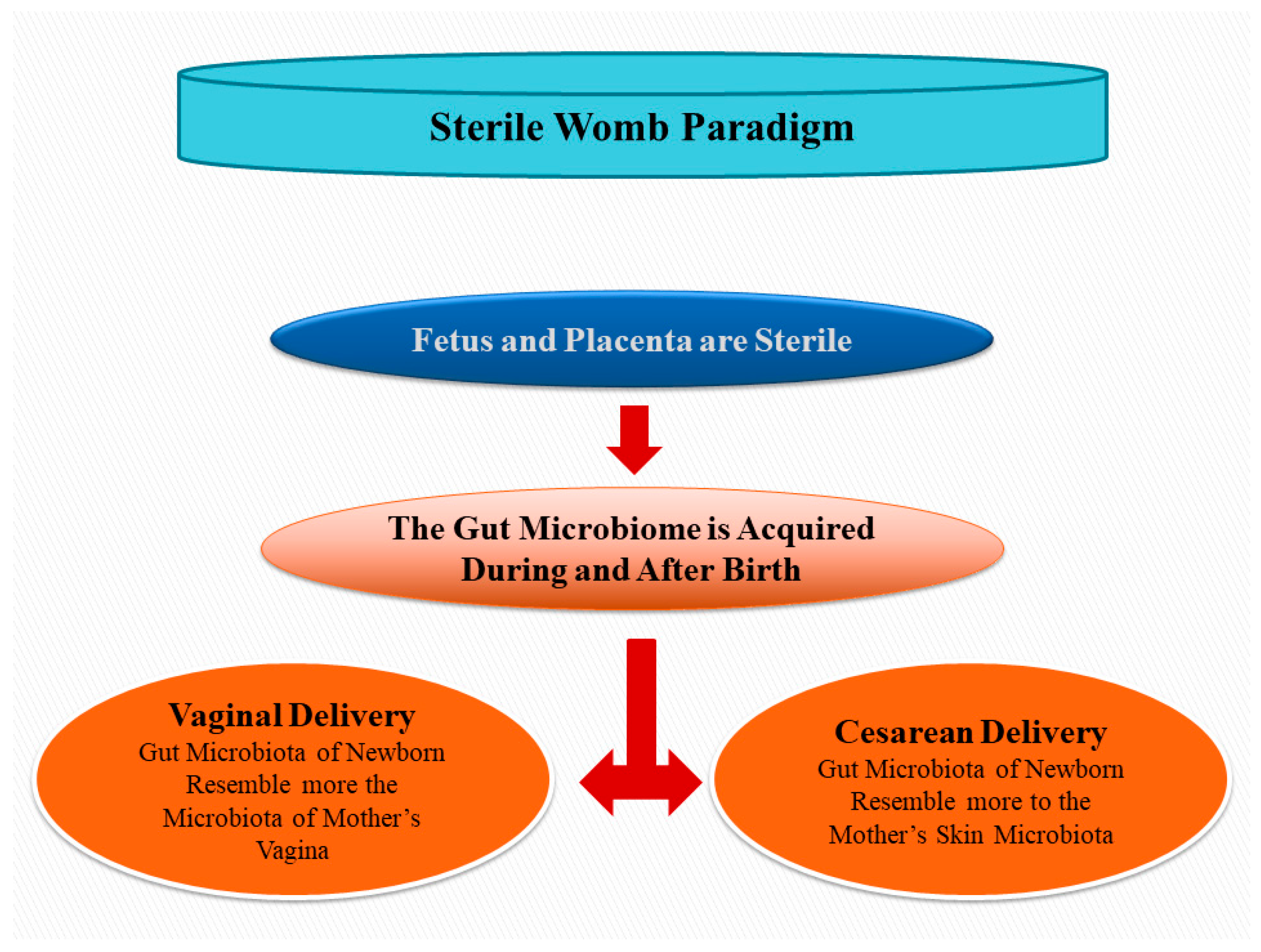 Animals 13 00578 g001