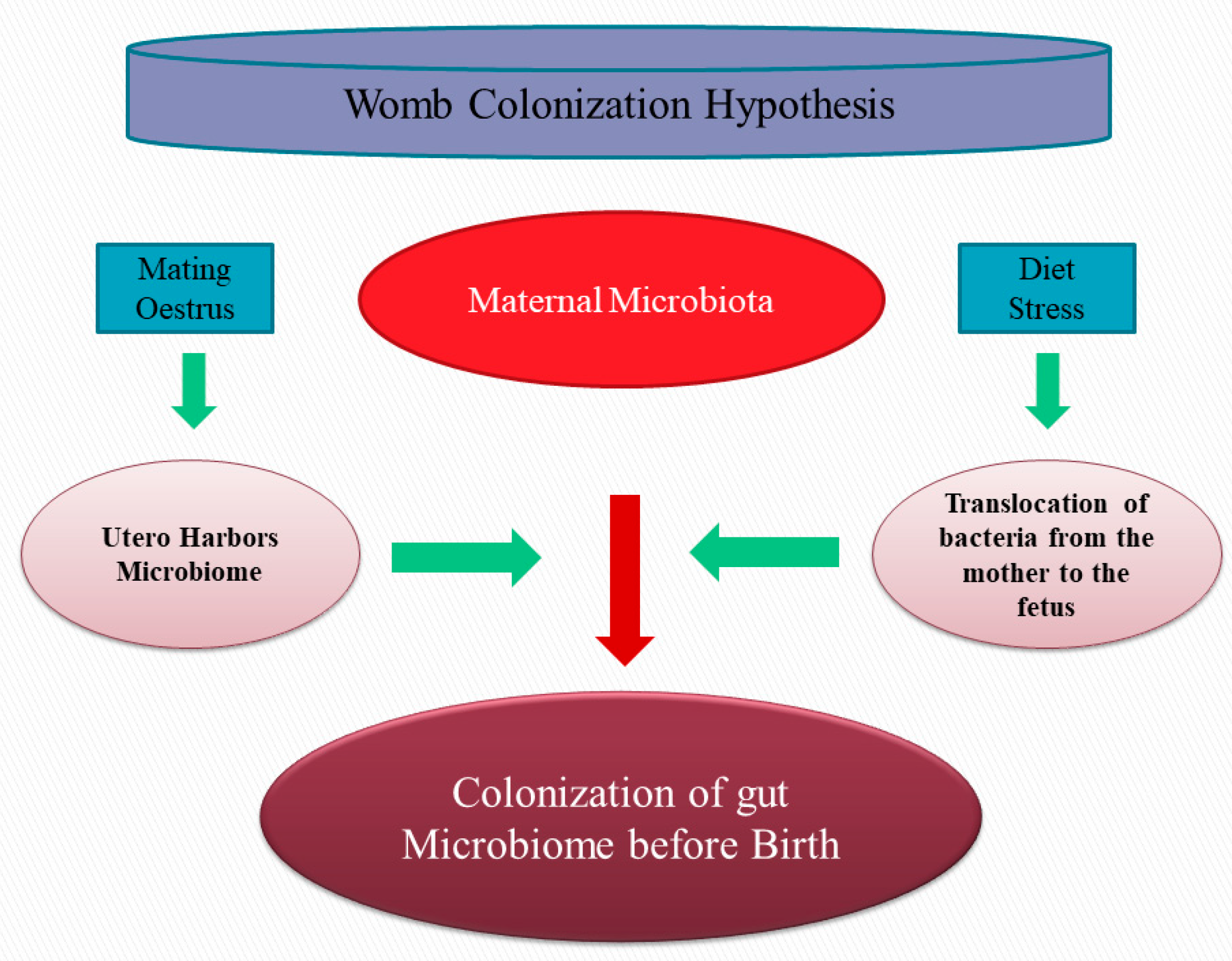 Animals 13 00578 g002