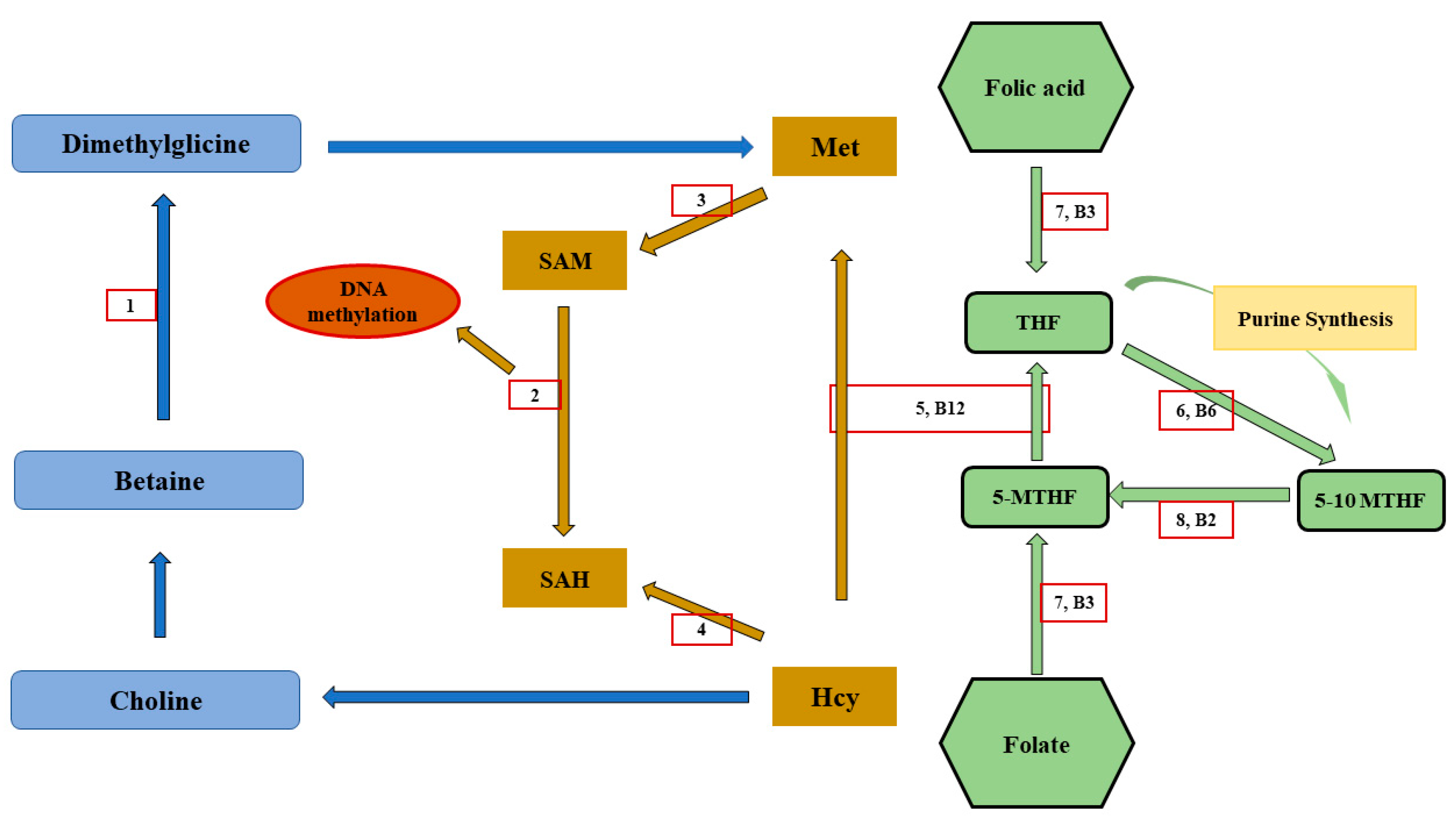 Animals 13 00578 g004