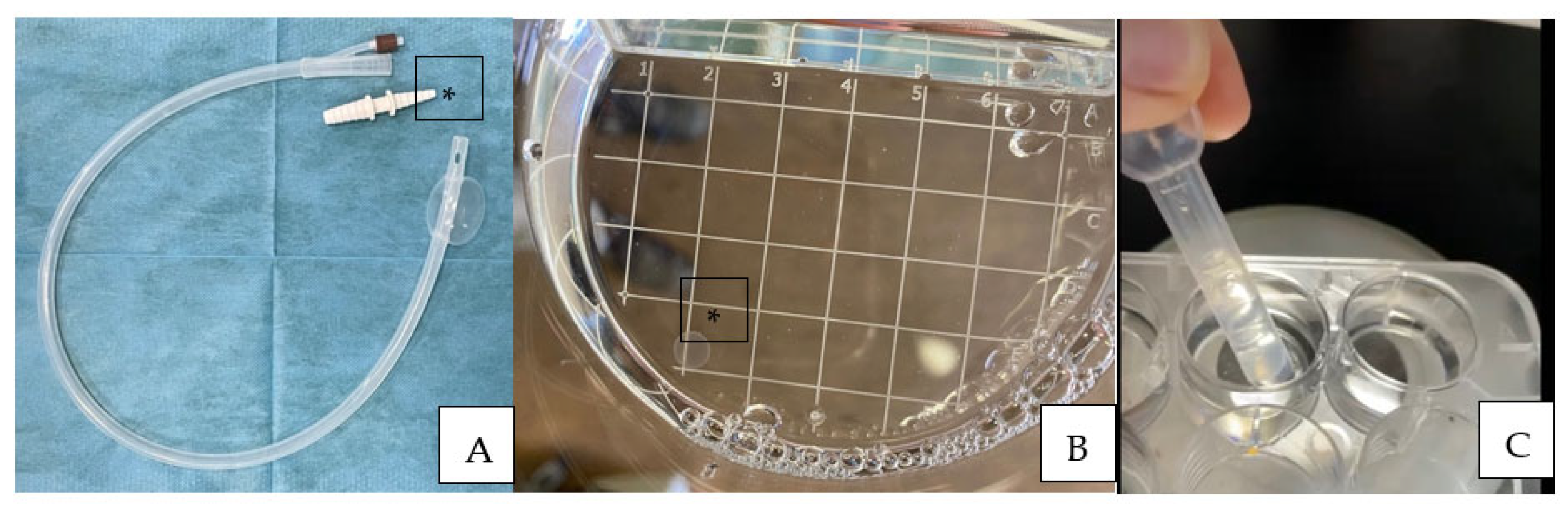 Animals 13 00582 g001