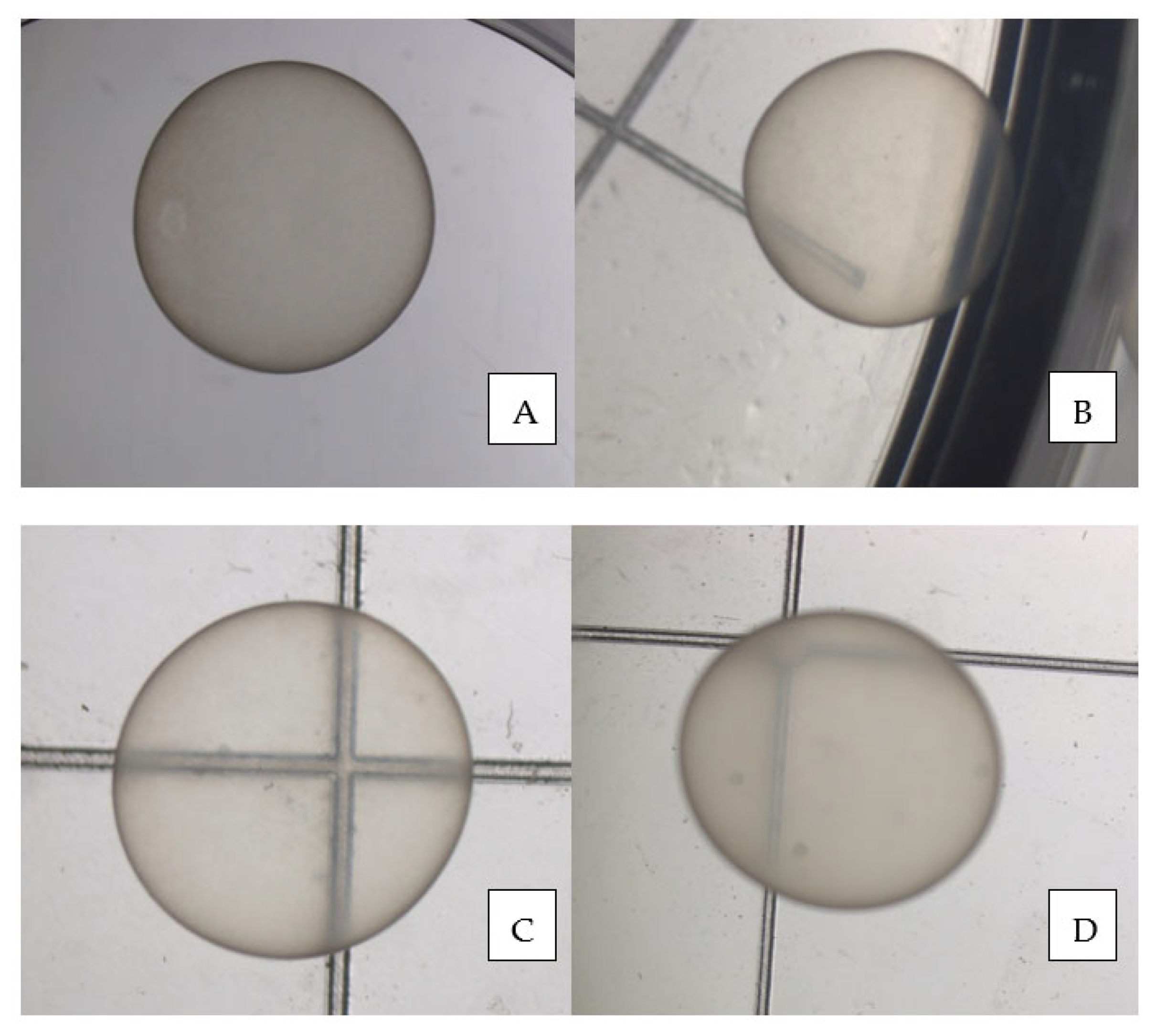 Animals 13 00582 g002