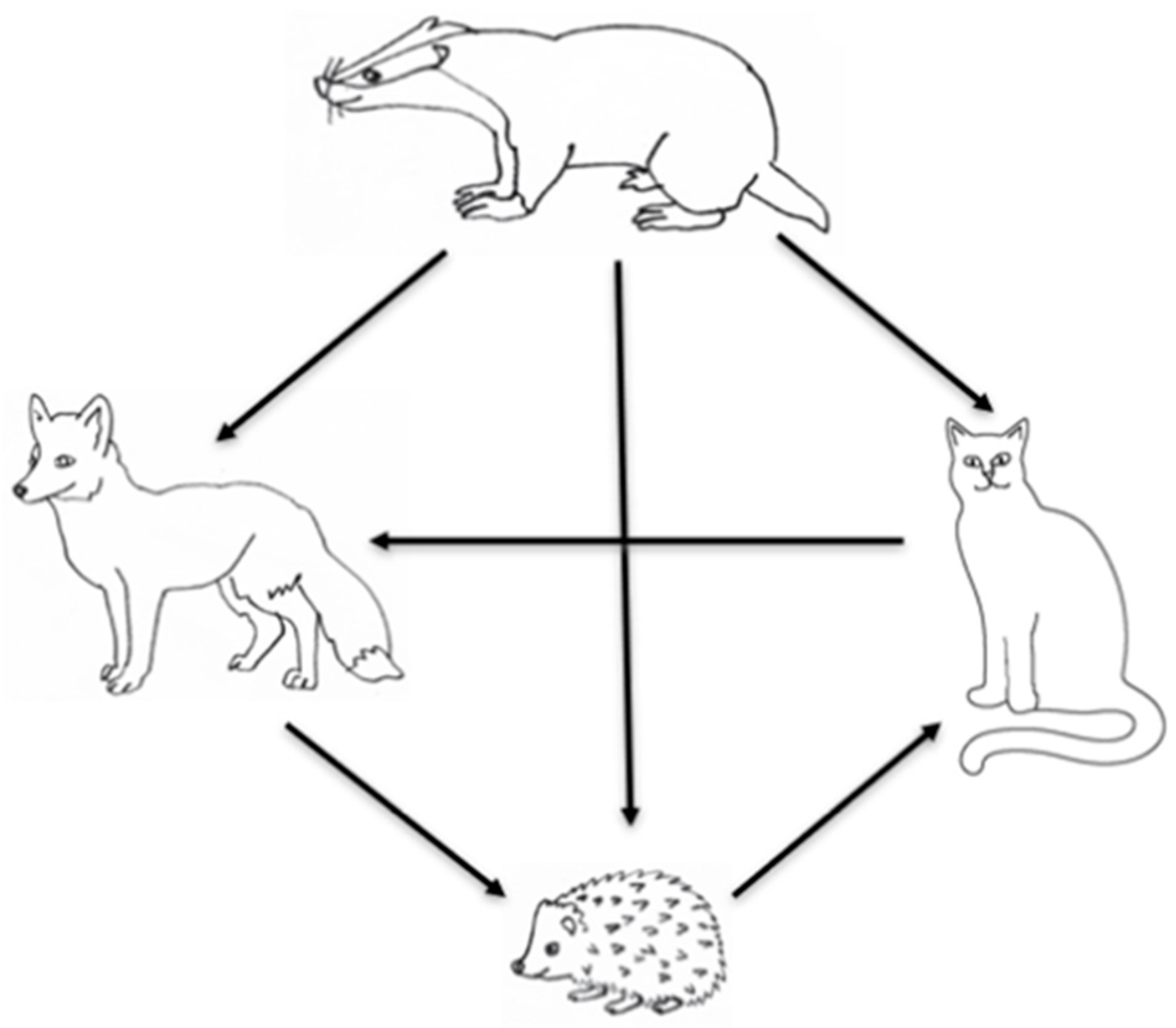 Animals 13 00590 g001