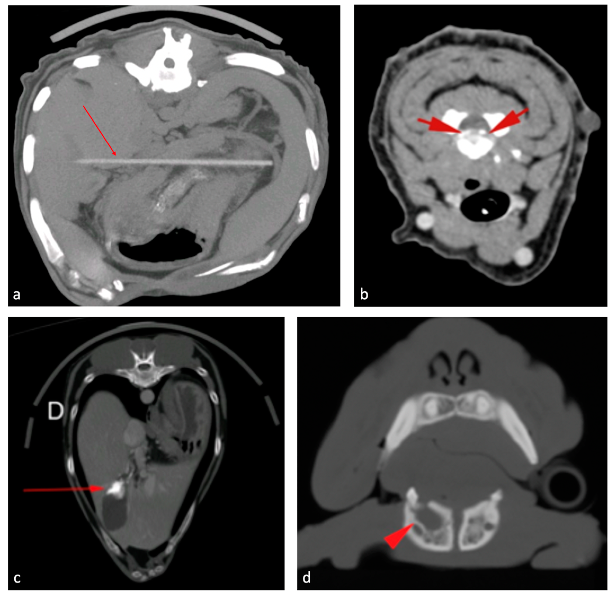 Animals 13 00591 g001