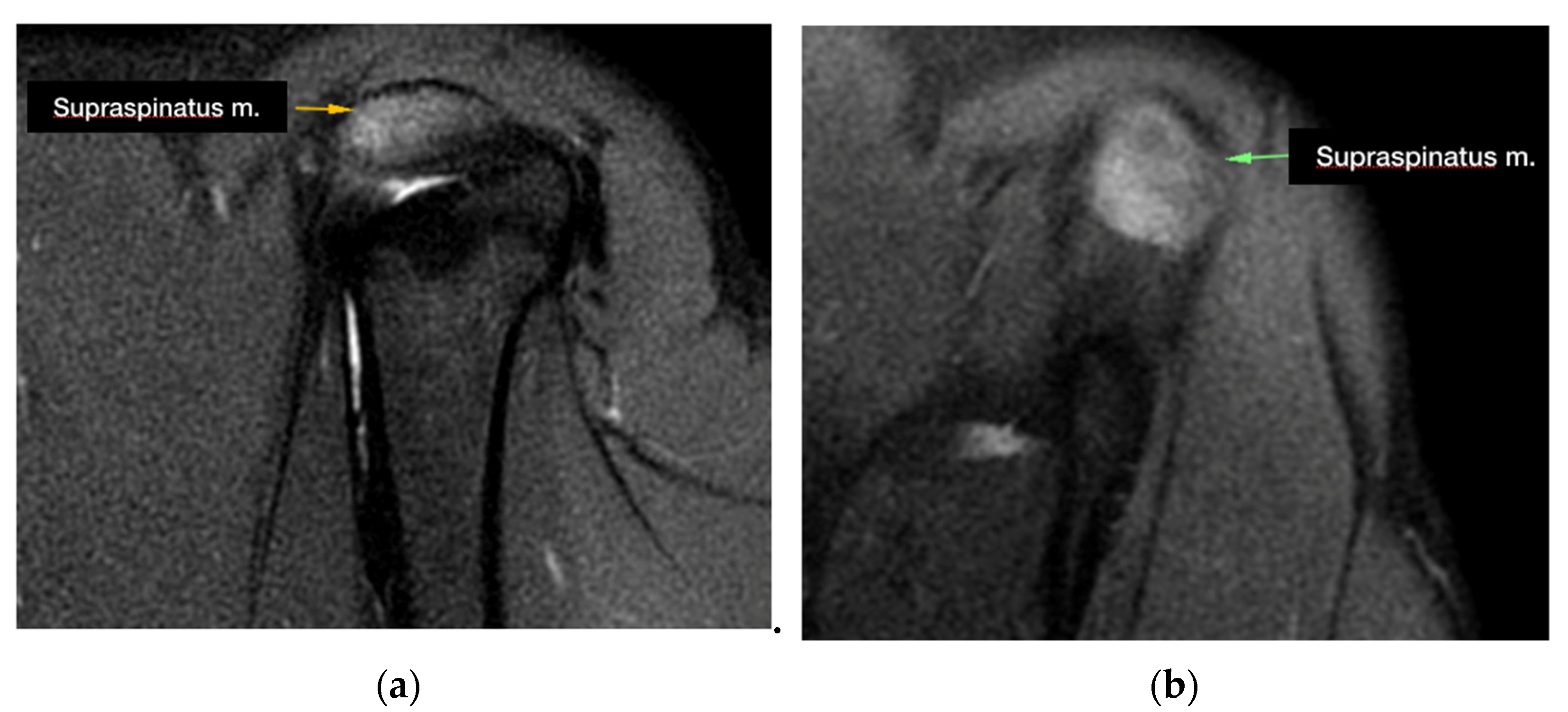 Animals 13 00592 g001