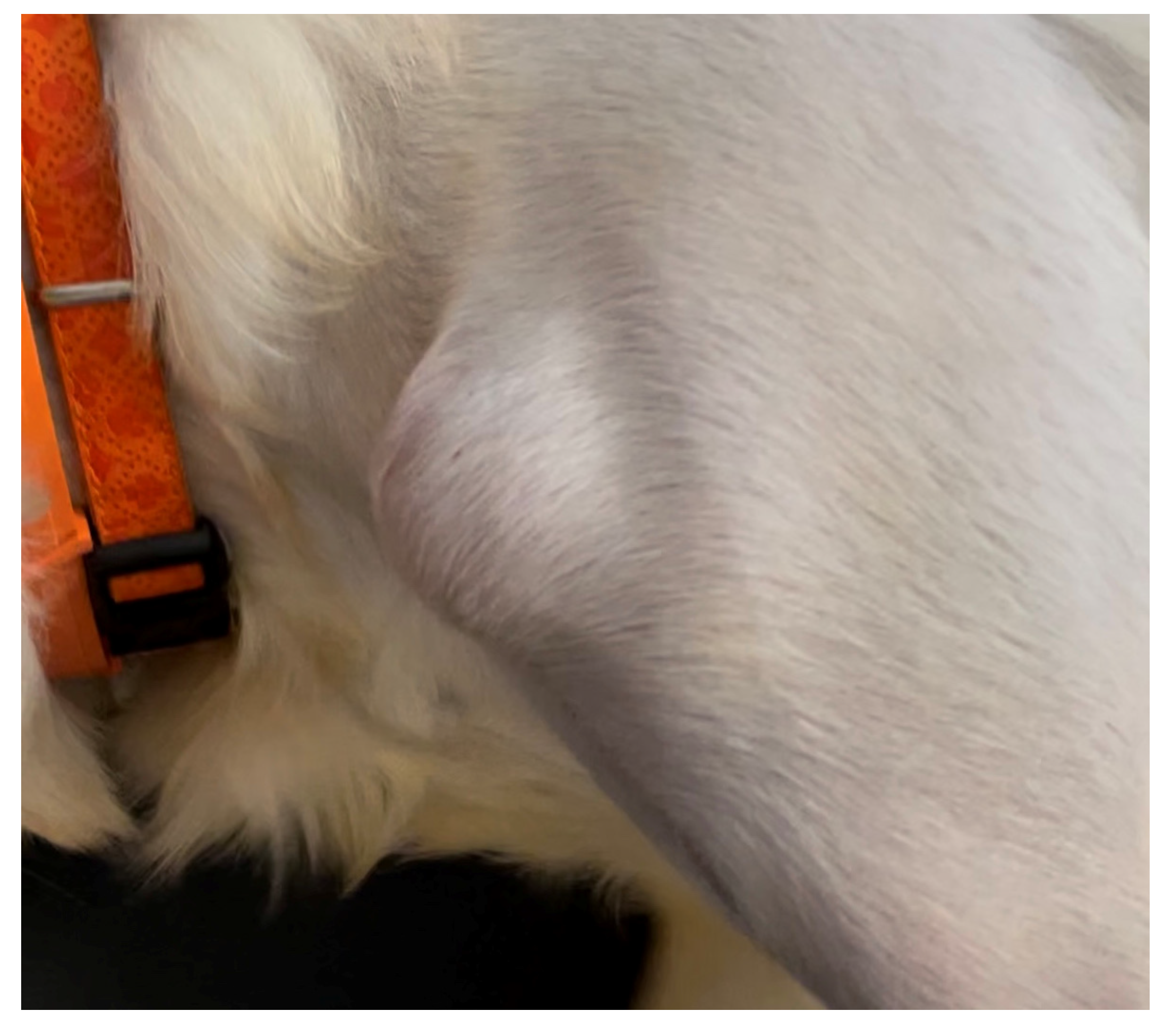 Animals 13 00592 g003