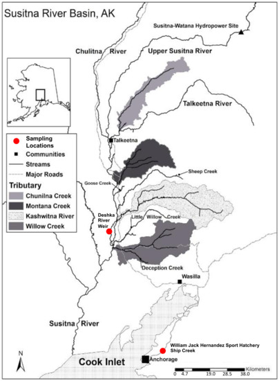 Animals 13 00593 g001