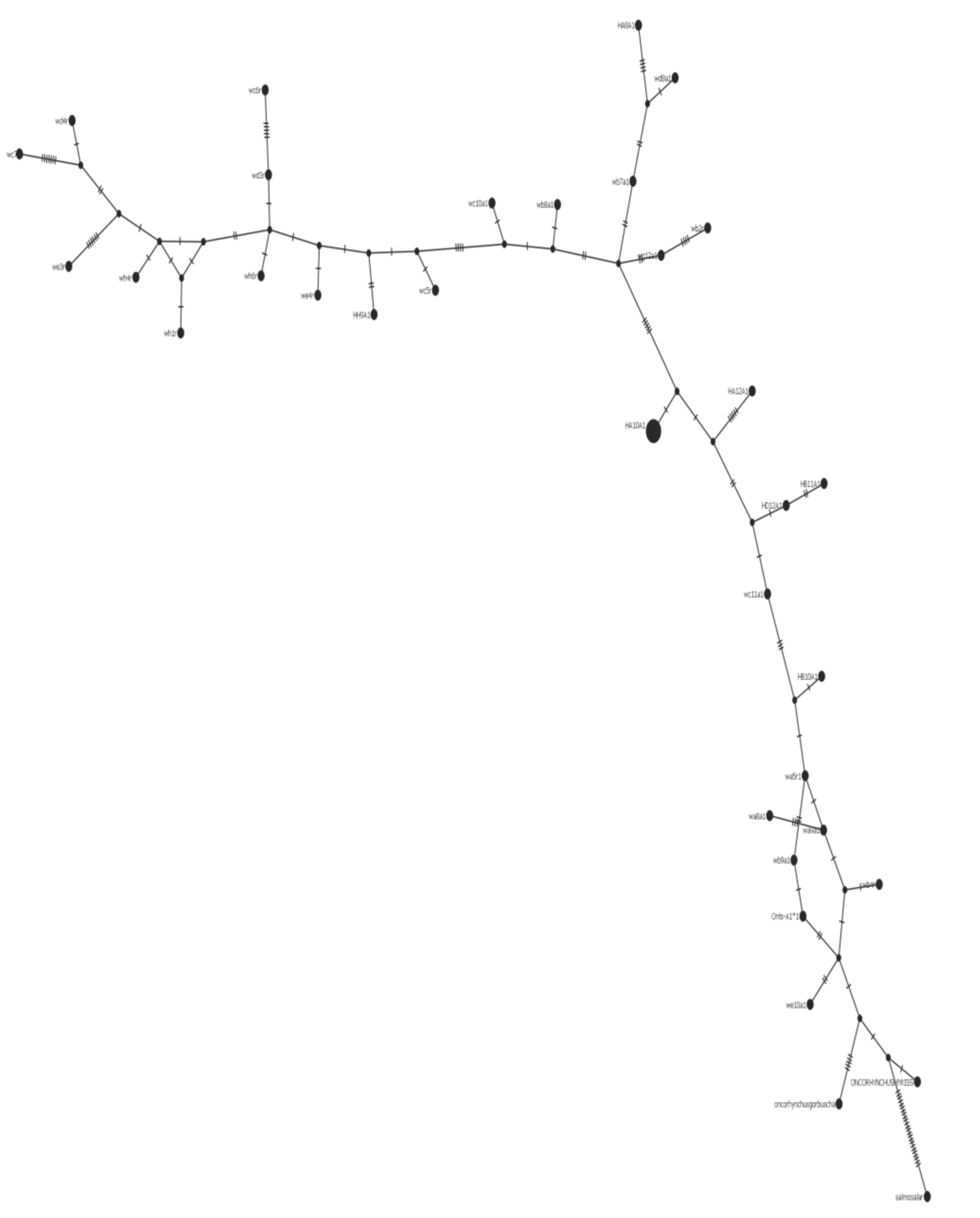 Animals 13 00593 g009