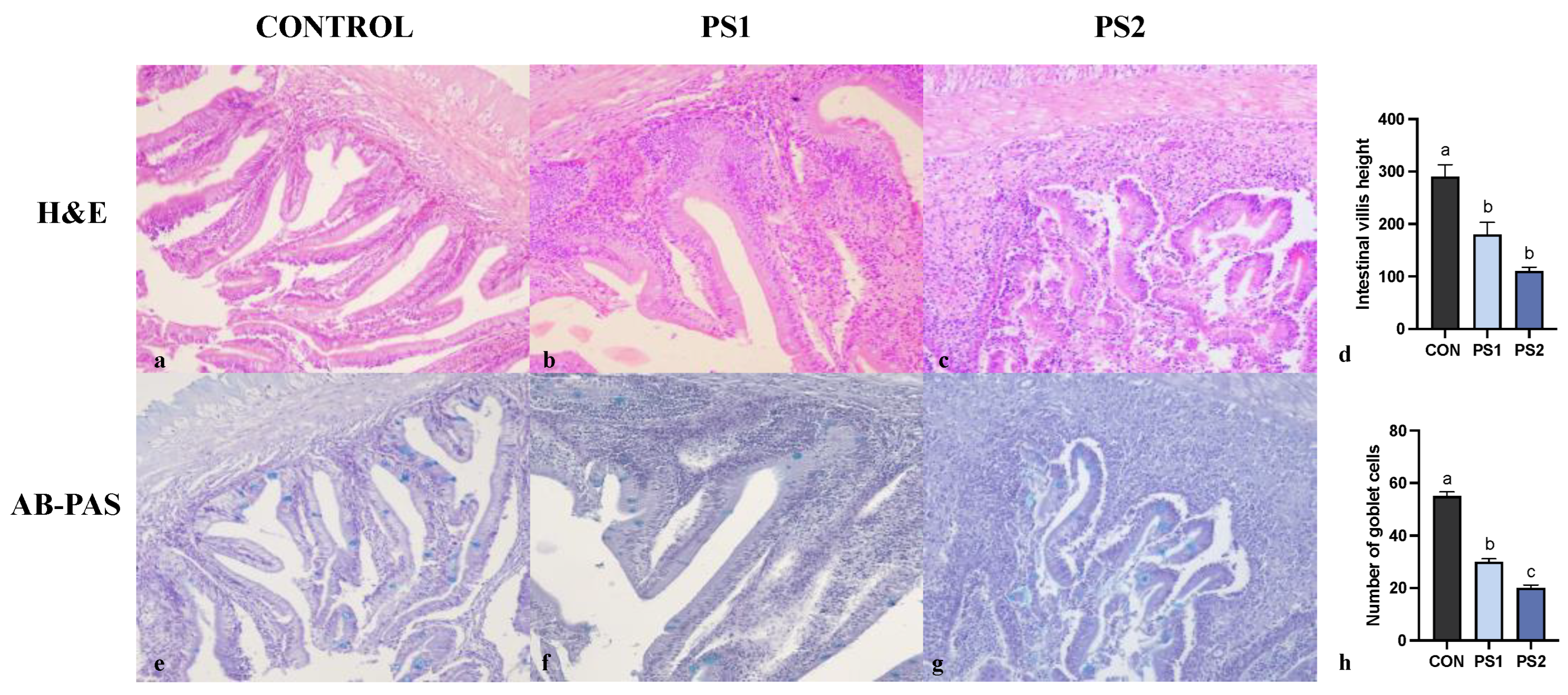 Animals 13 00606 g001