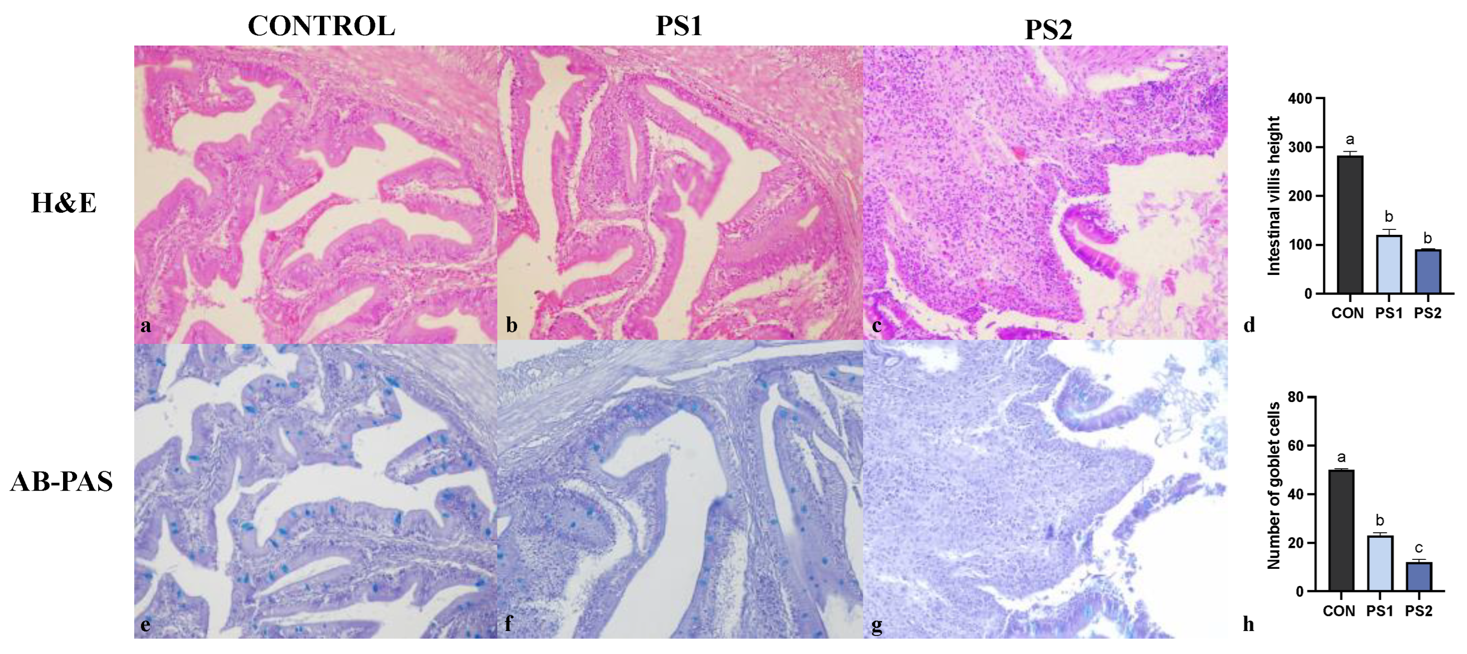 Animals 13 00606 g002