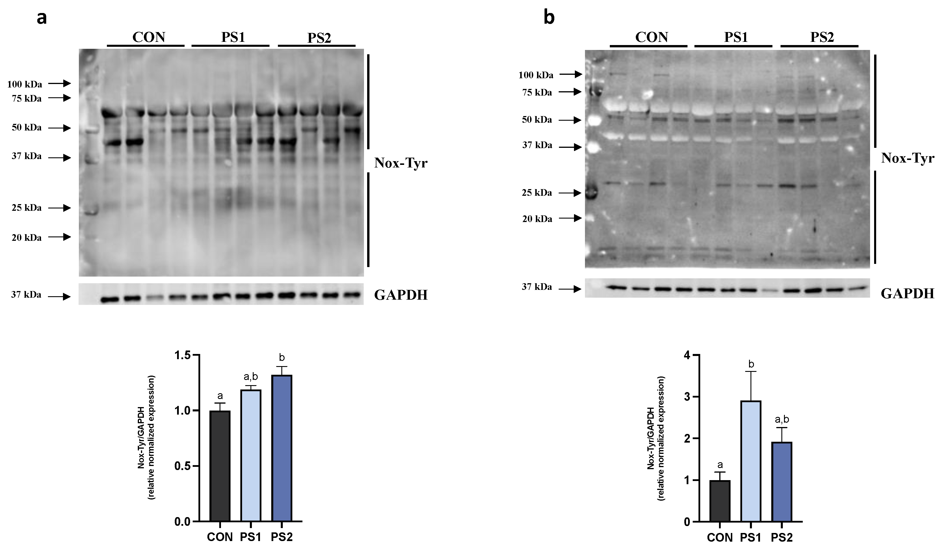 Animals 13 00606 g006