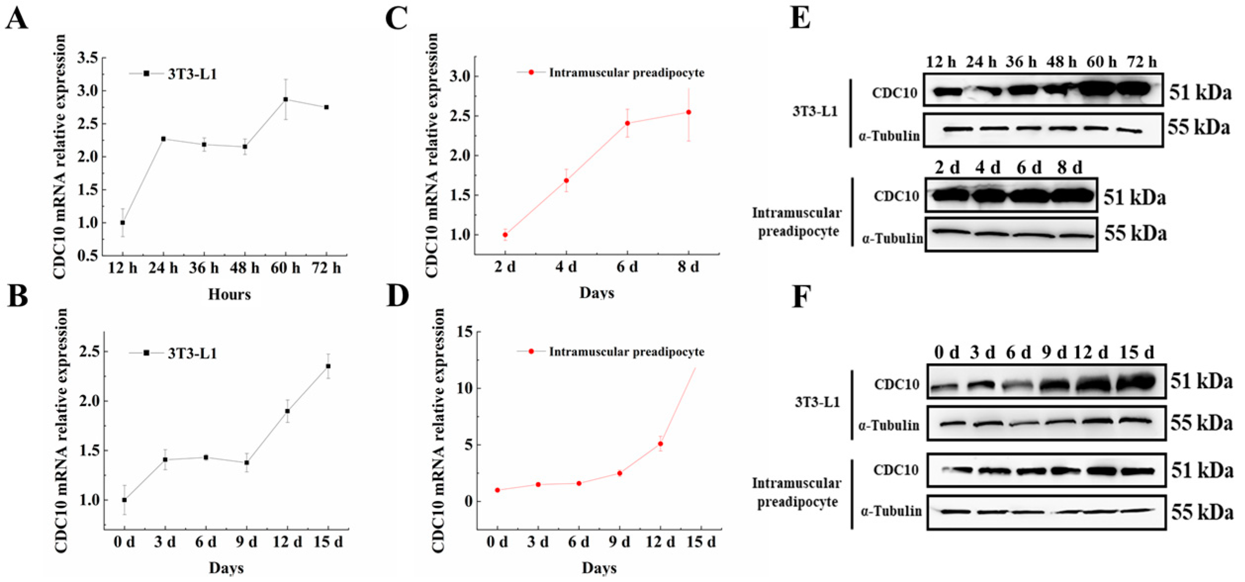 Animals 13 00609 g002