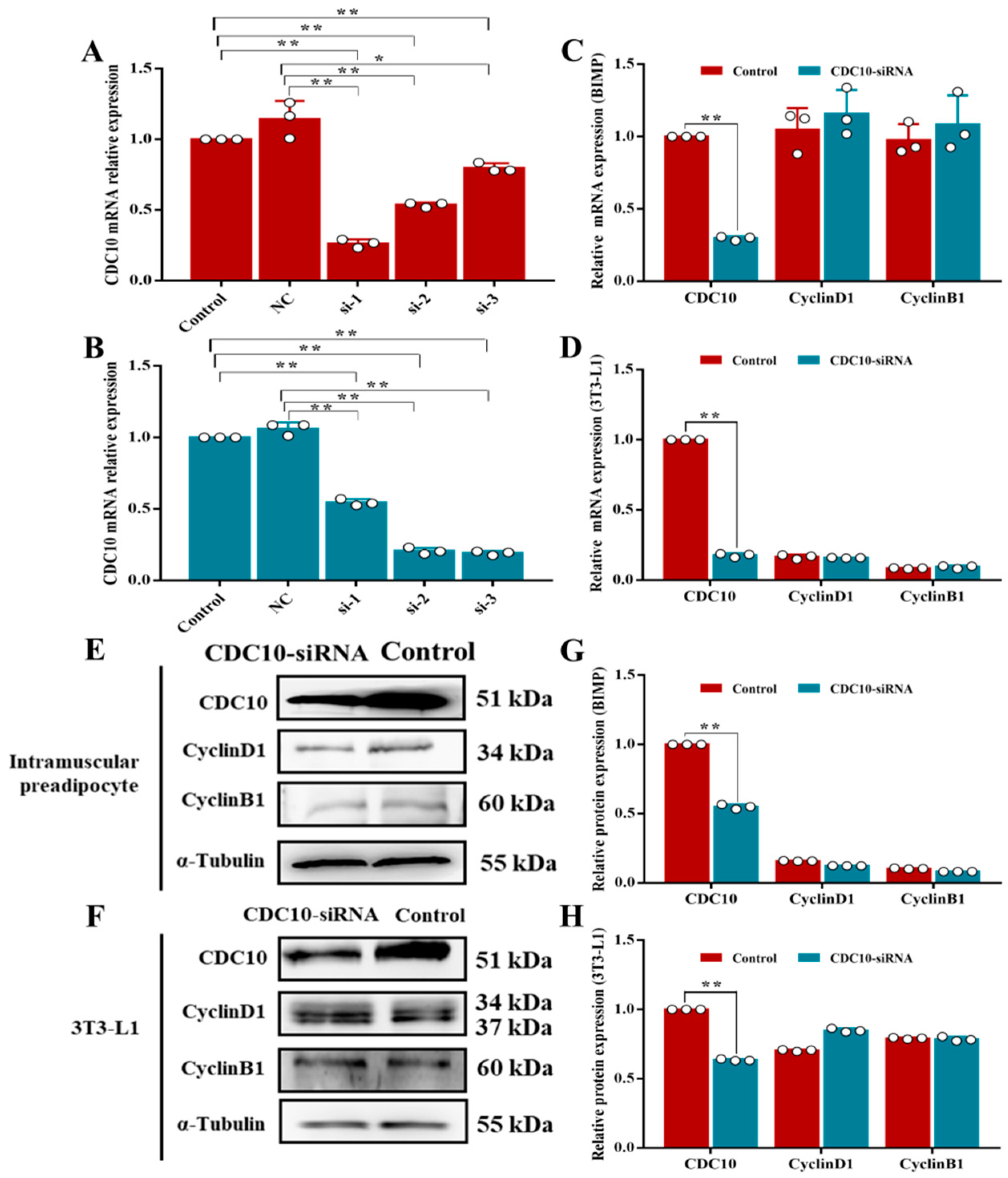 Animals 13 00609 g003