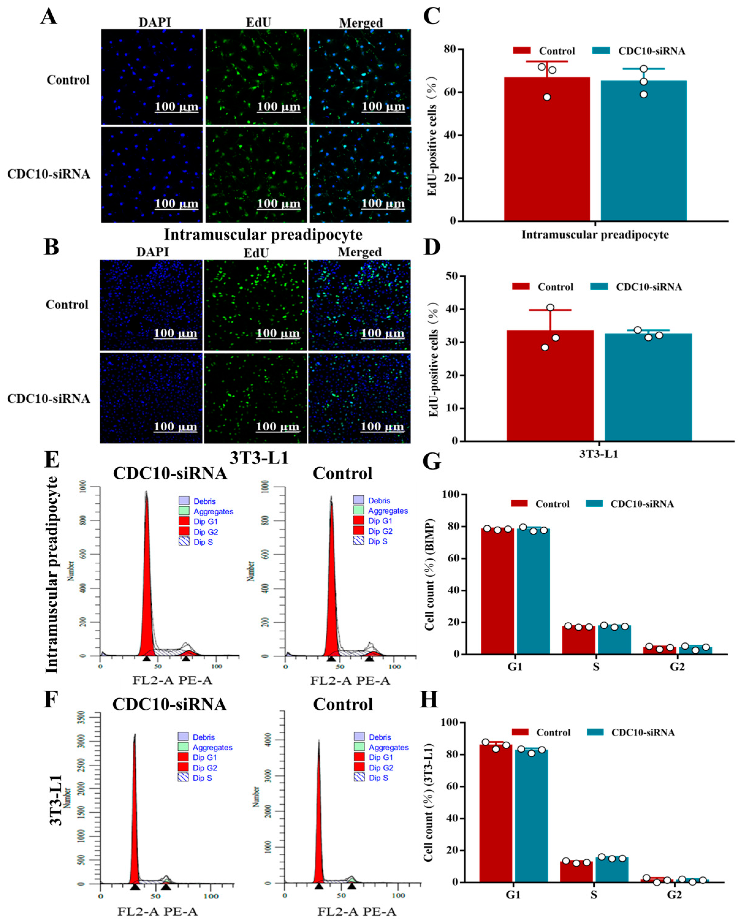 Animals 13 00609 g004
