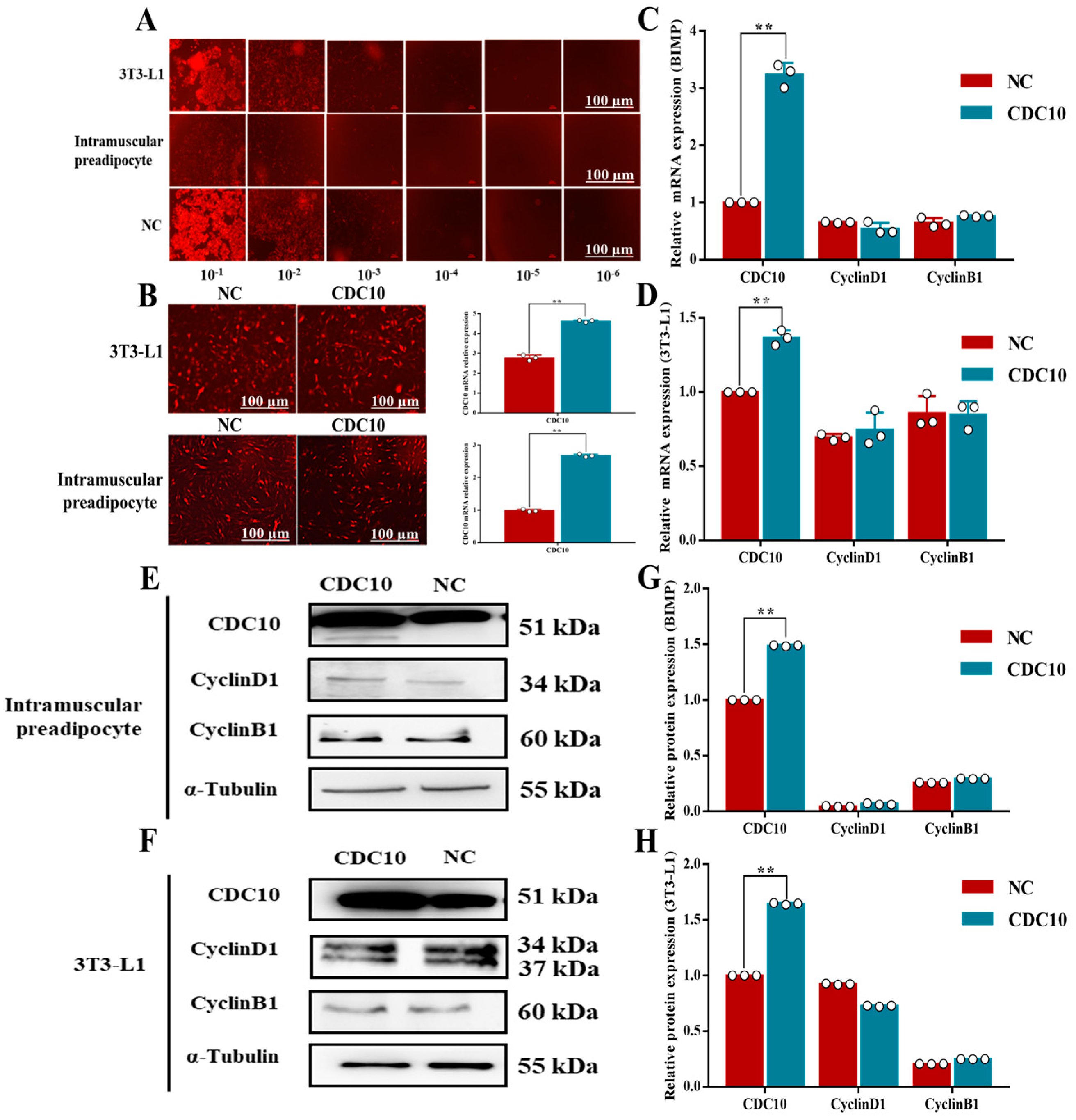 Animals 13 00609 g005