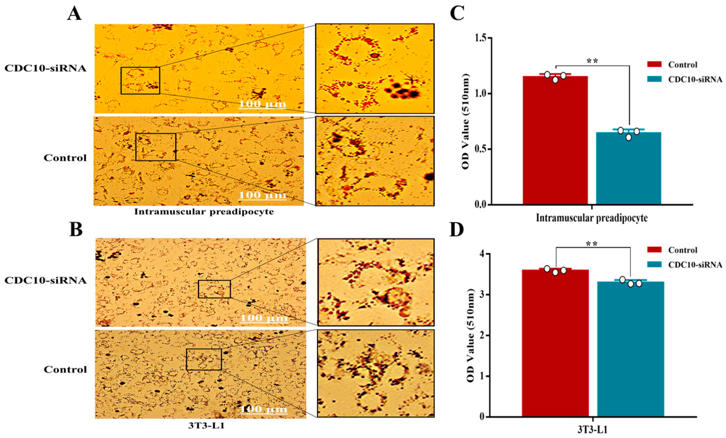 Animals 13 00609 g007