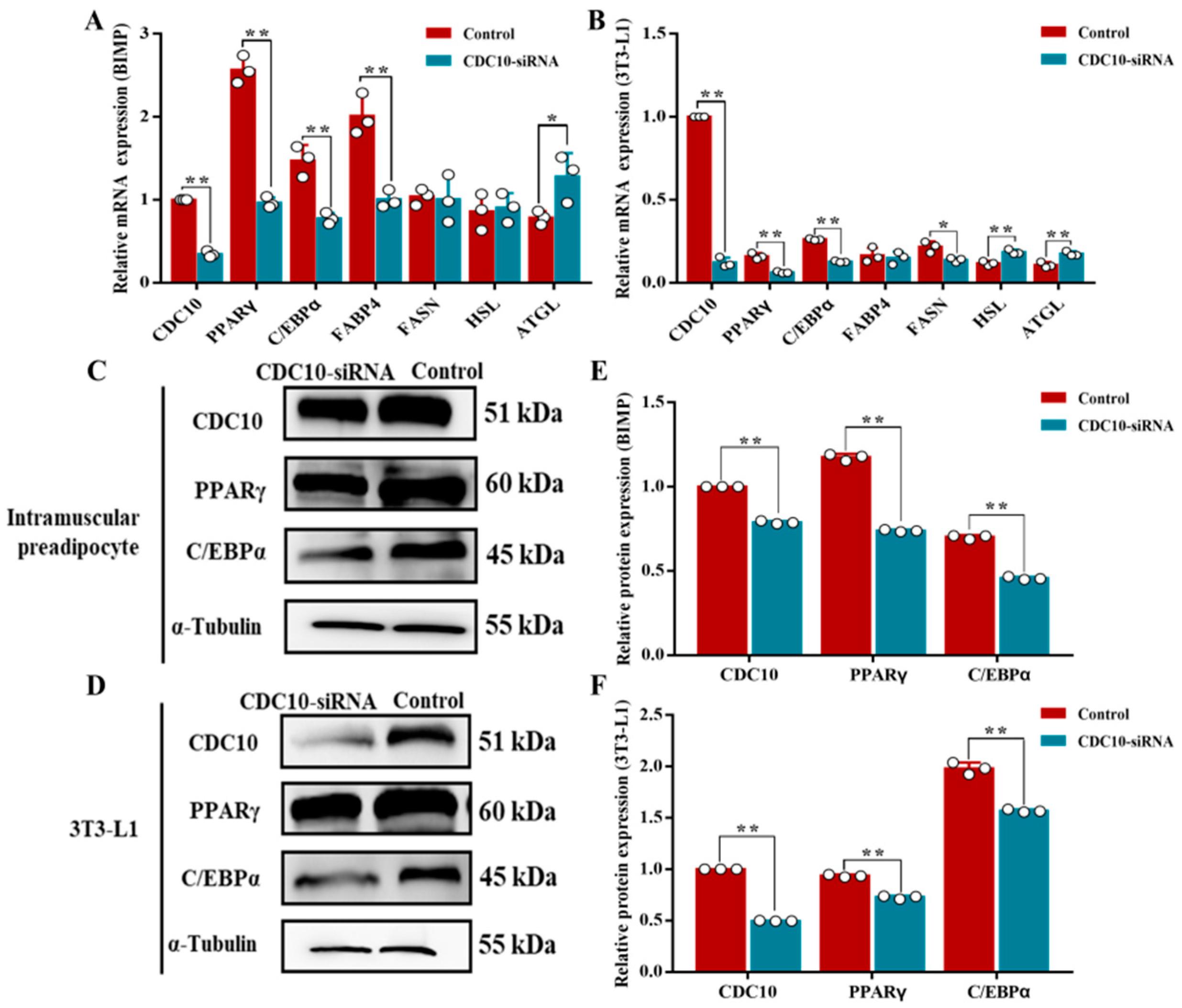 Animals 13 00609 g008