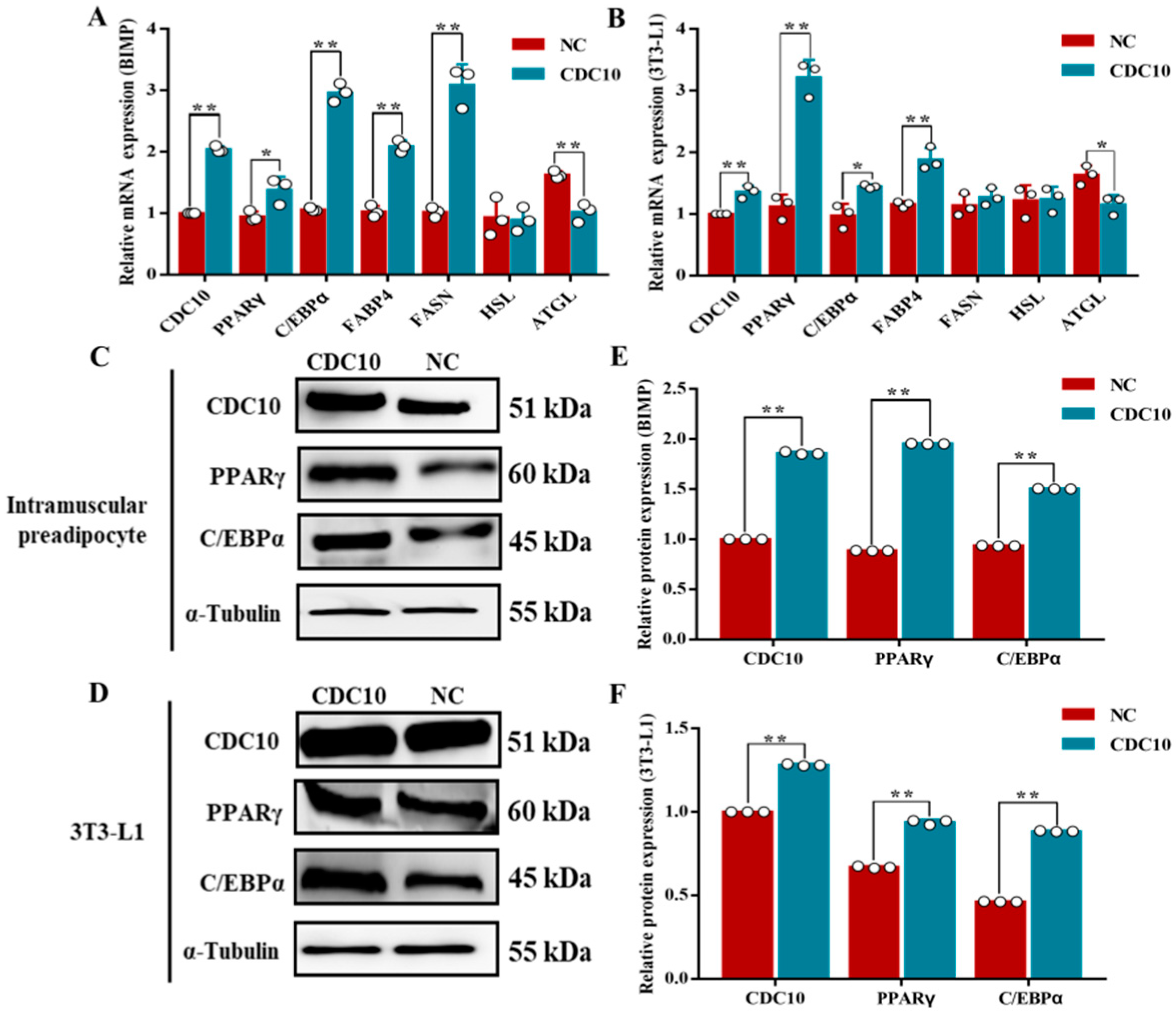 Animals 13 00609 g010