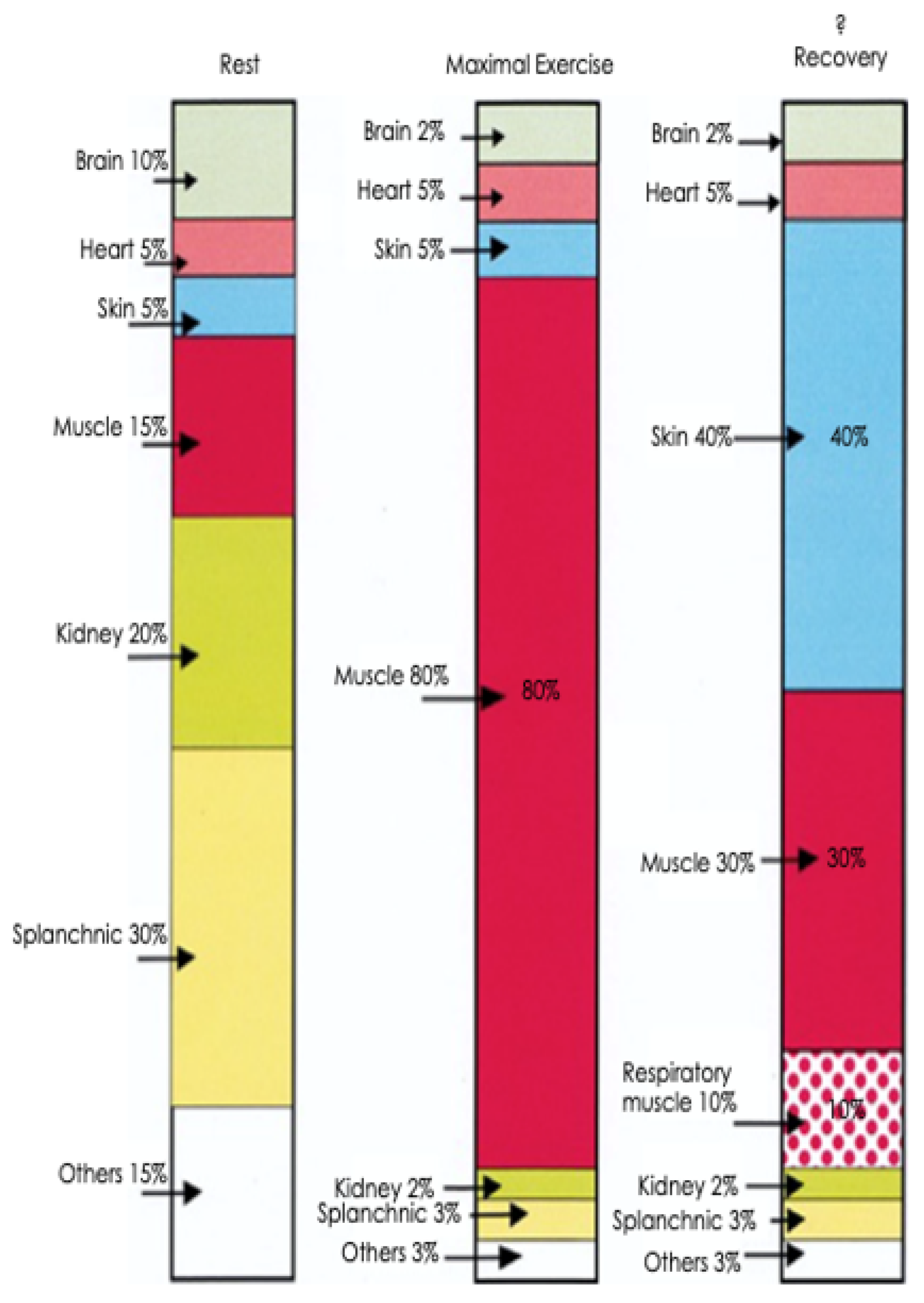 Animals 13 00610 g005