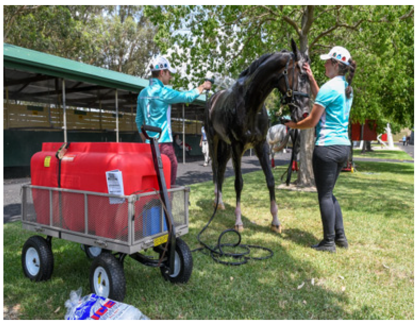 Animals 13 00610 g009