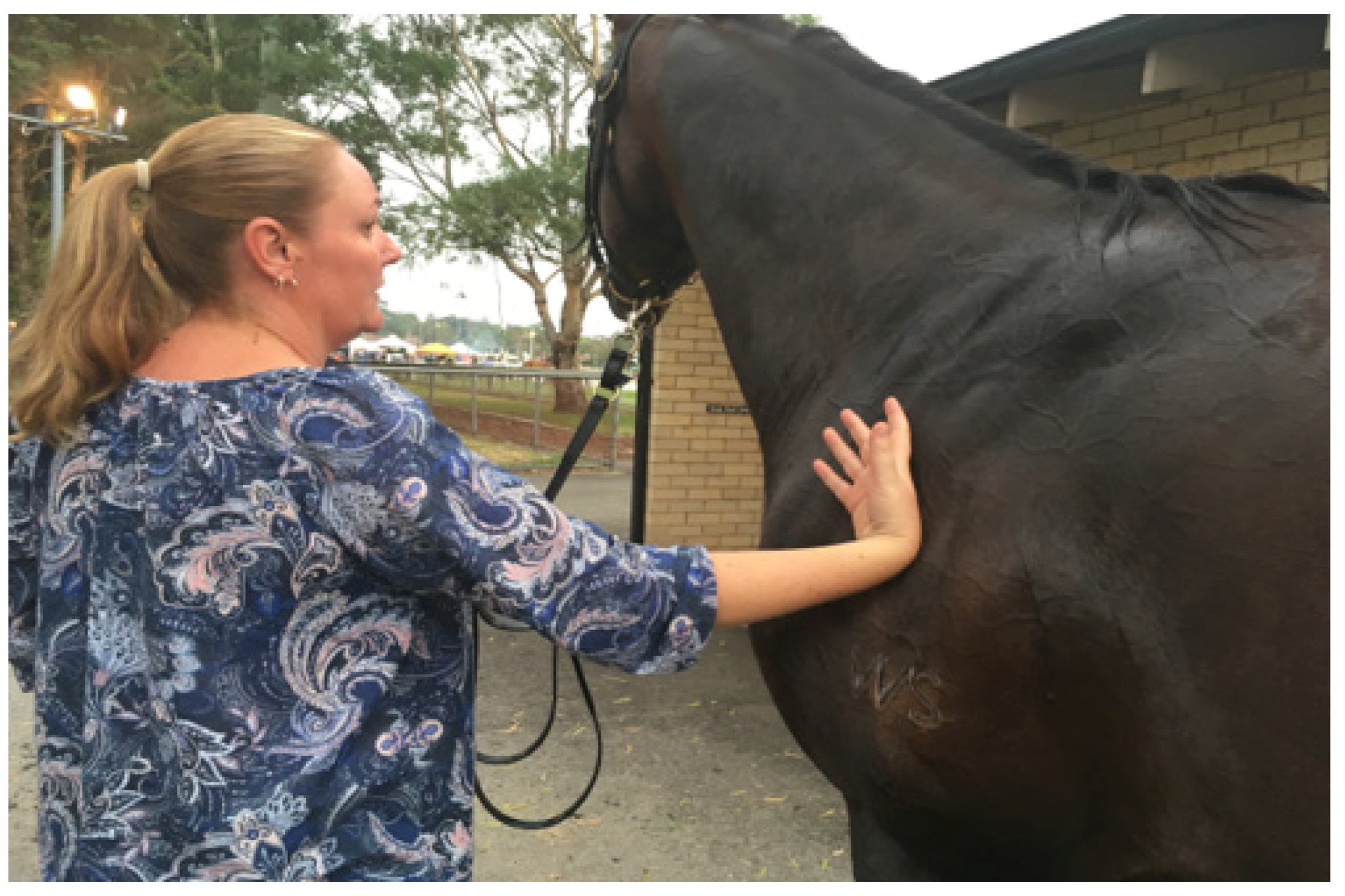 Animals 13 00610 g015