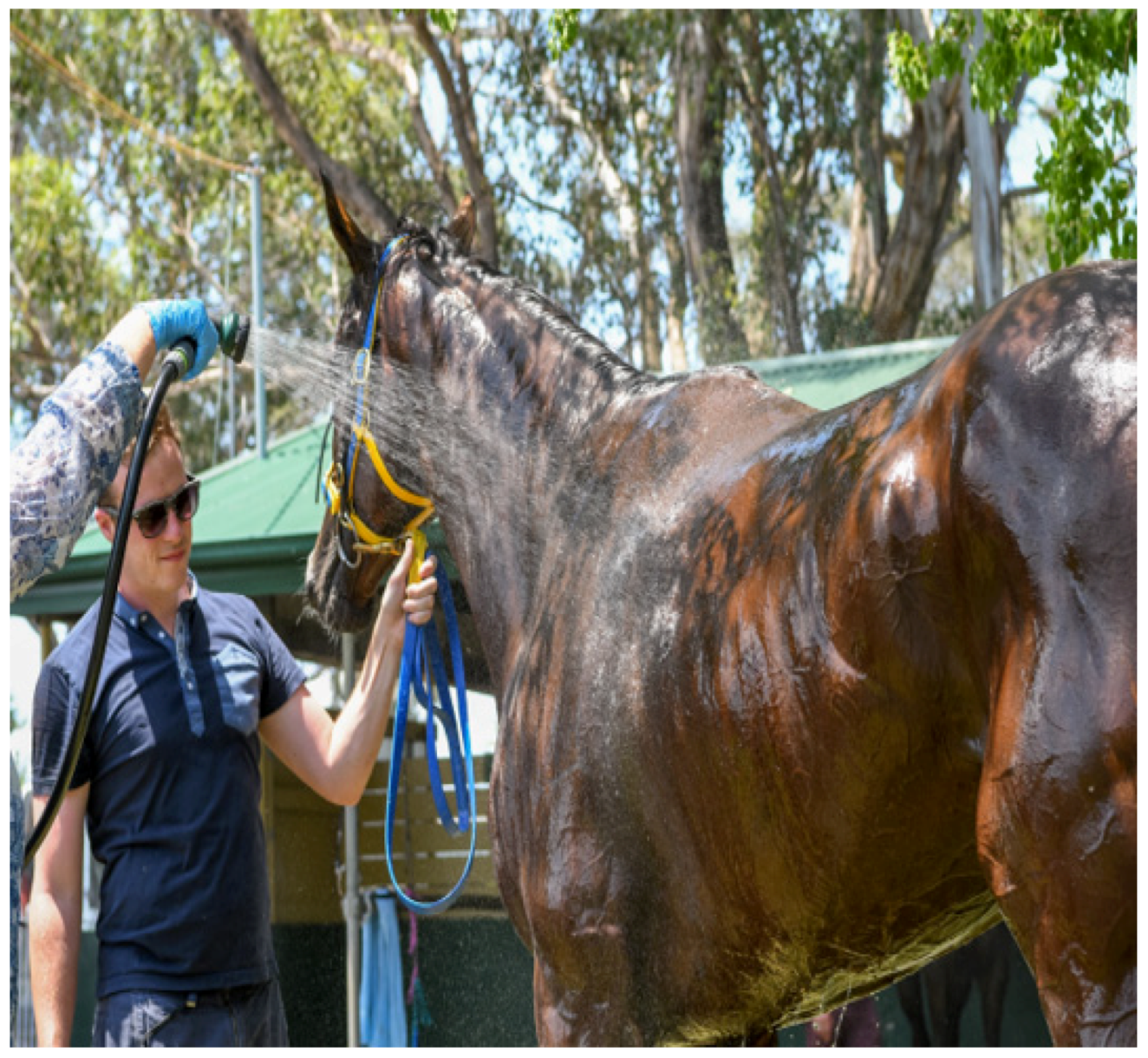 Animals 13 00610 g018