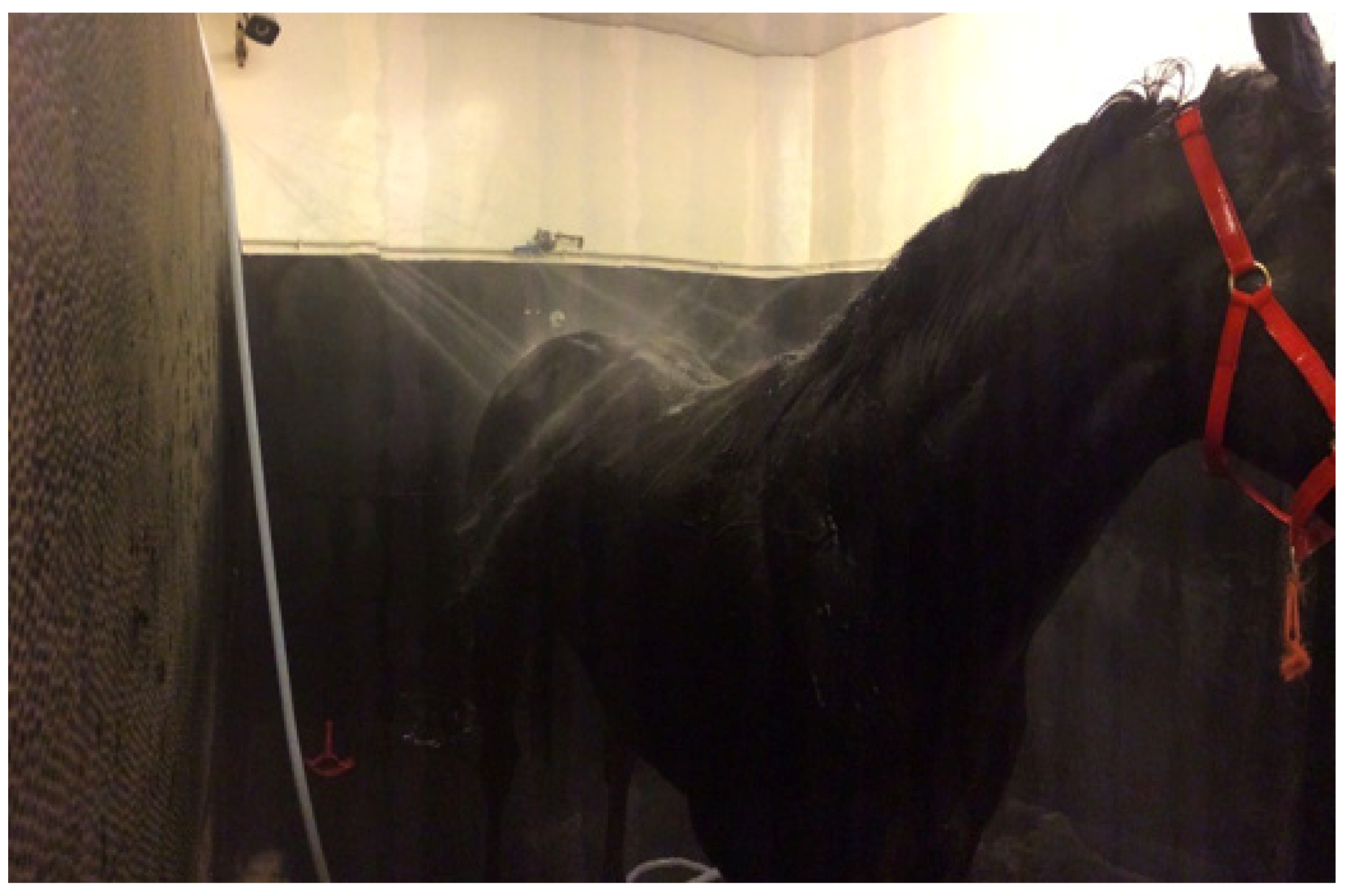 Animals 13 00610 g019