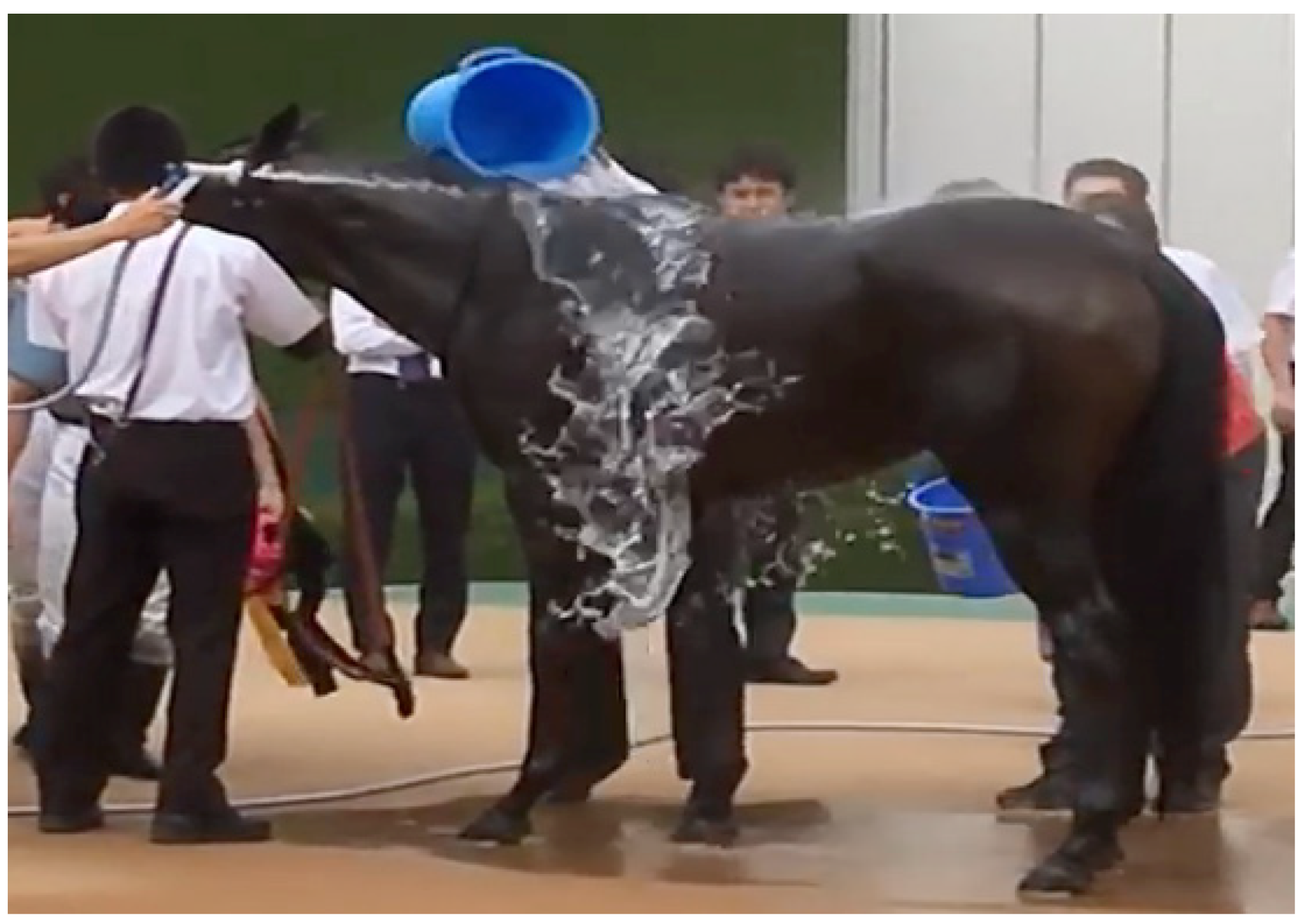 Animals 13 00610 g020